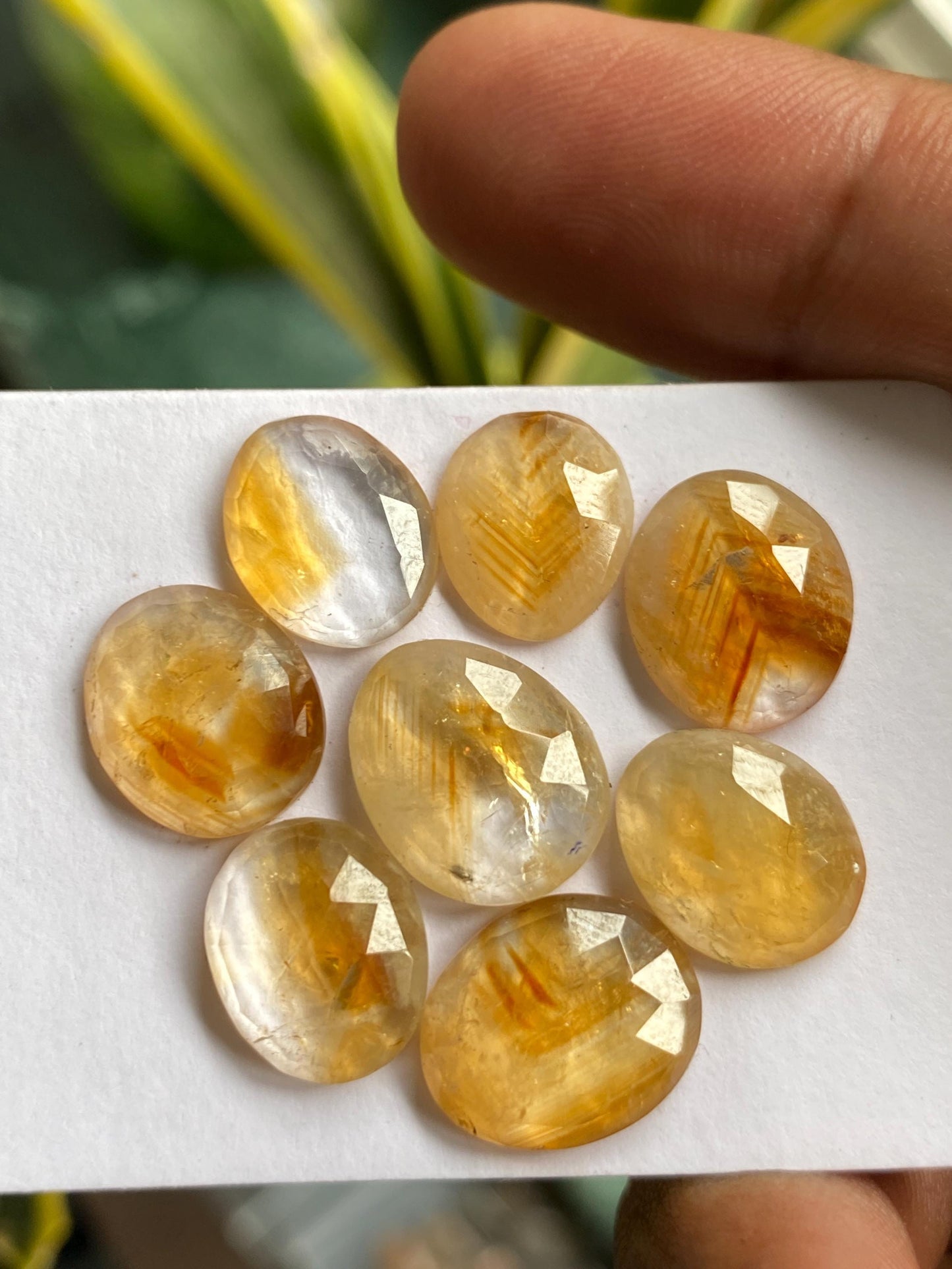 Dazzling Bicolor Citrine rosecut bi color wholesale lot pcs 8 wt 36 carats good size 12x10mm-14x11mm natural citrine rosecut flatback