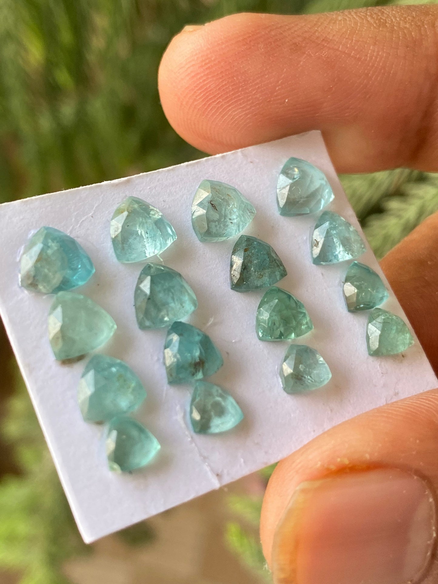 Fabulous Blue green apatite rosecut lot trilliom weight 13.45 carats pcs 16 rosecut blue apatite flats Small size 5mm-6.8mm apatite rosecut