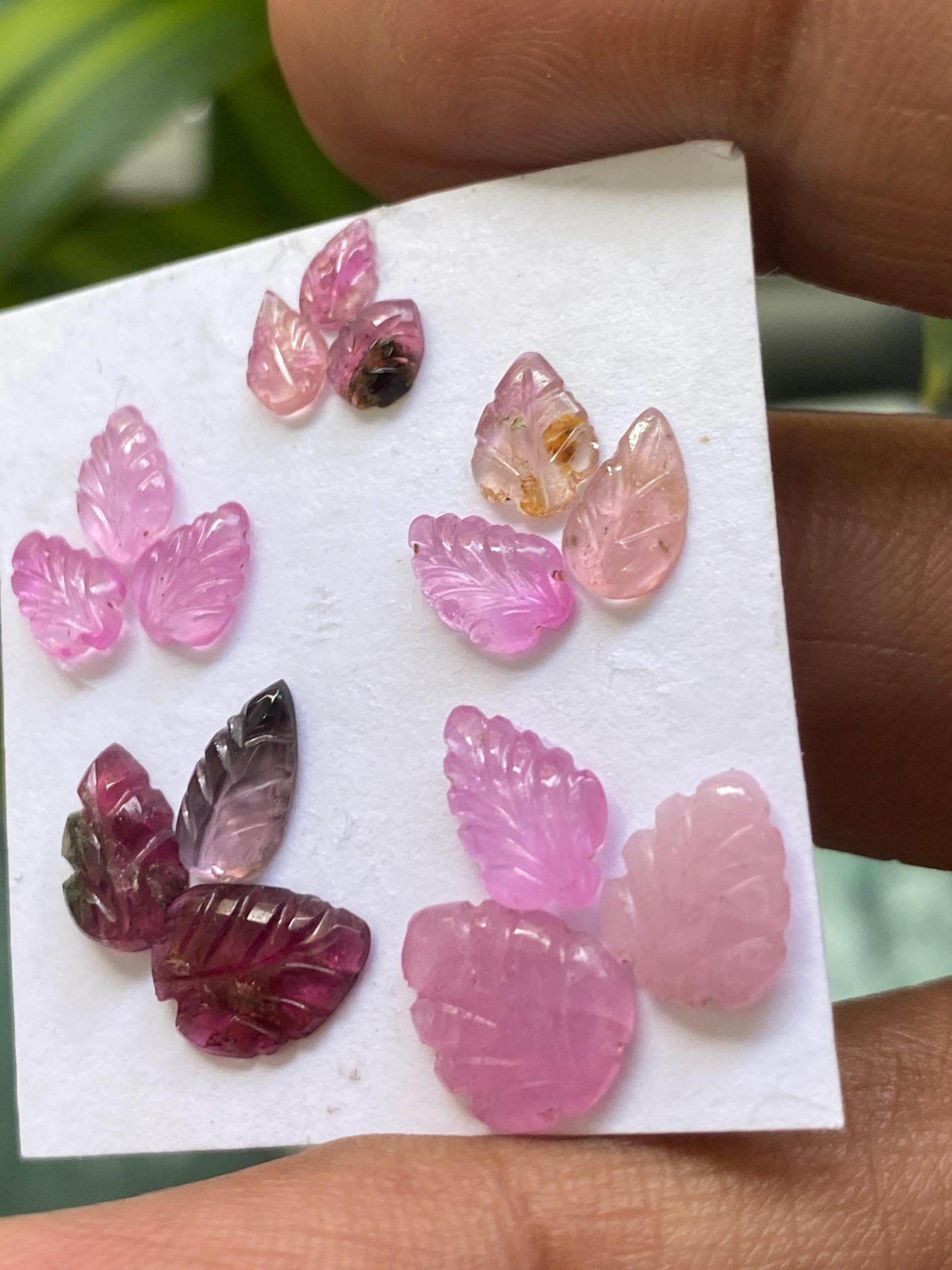 Stunning pink sapphire Watermelon tourmaline leaves carvings wt 11.70 carats pcs 15 size 5x3.8mm-10.2x8.6mm leaf carving