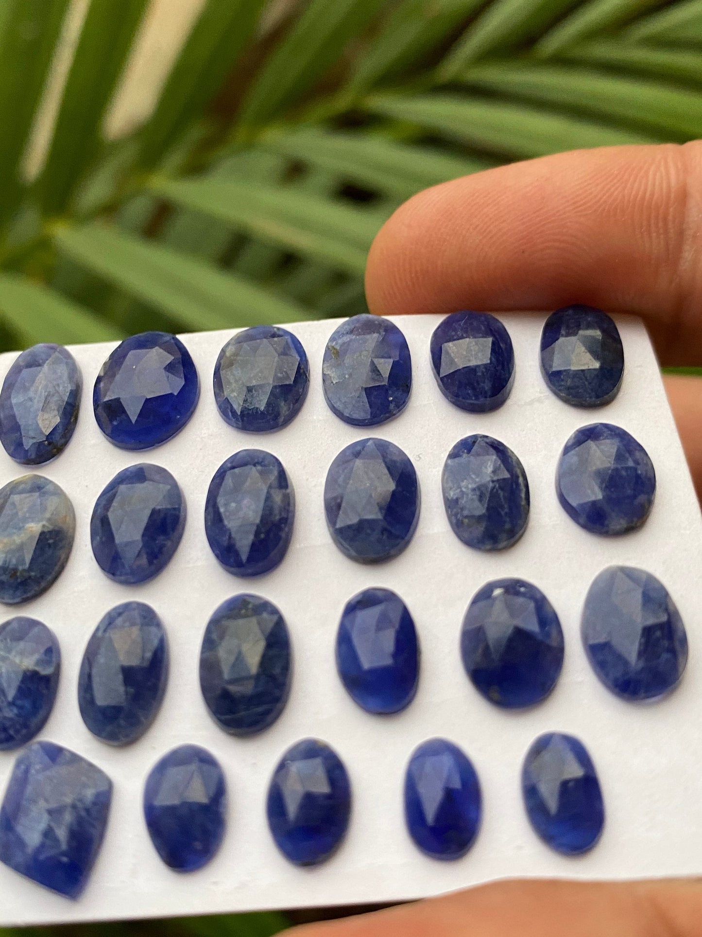 Fascinating Sodalite rosecut mixed shapes wt 25 carats  pcs 23 size 7.5x5-12x7mm natural Sodalite beautiful color Rare Sodalite rosecut