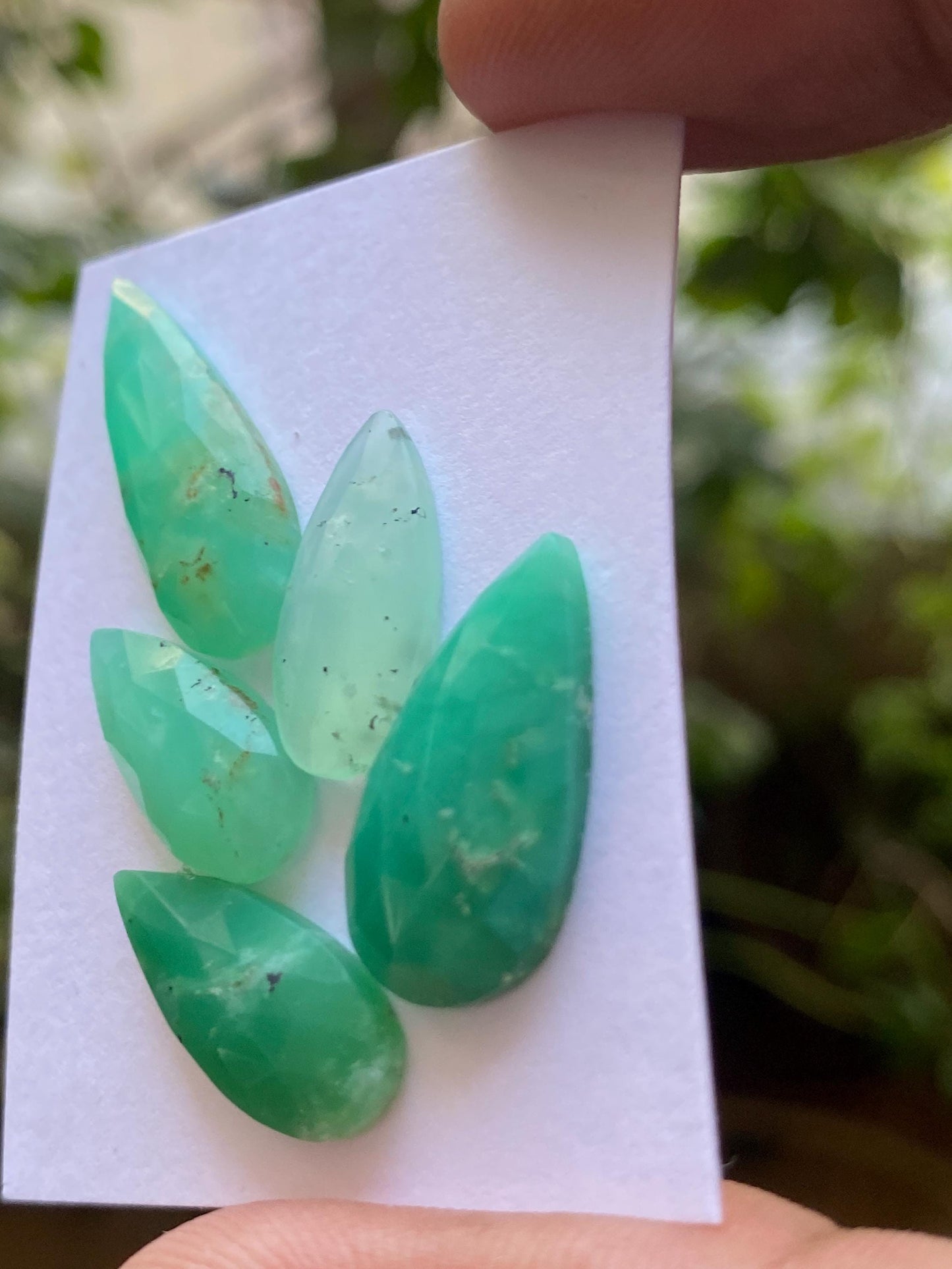 Scintillating Chrysoprase rosecut pear fancy wholesale lot fine quality wt 26.76 carats pcs 5 size 18x8.7mm-28x8.9mm chrysoprase rosecut