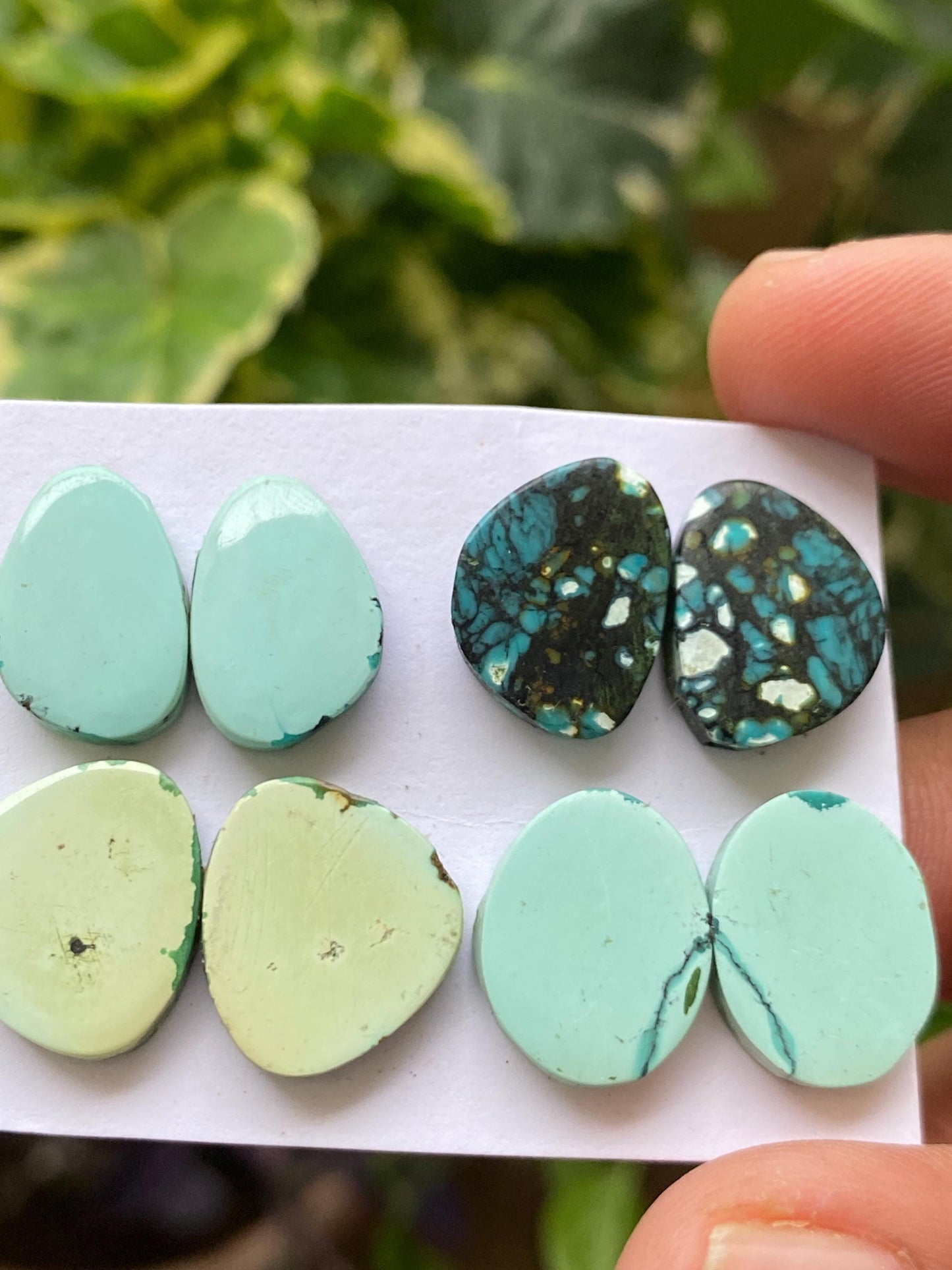 Cute Turquoise pairs natural hubei mines smooth polished cloud mountain pcs 8 wt 44 carats 15x10-15x14mm turquoise earrings supply