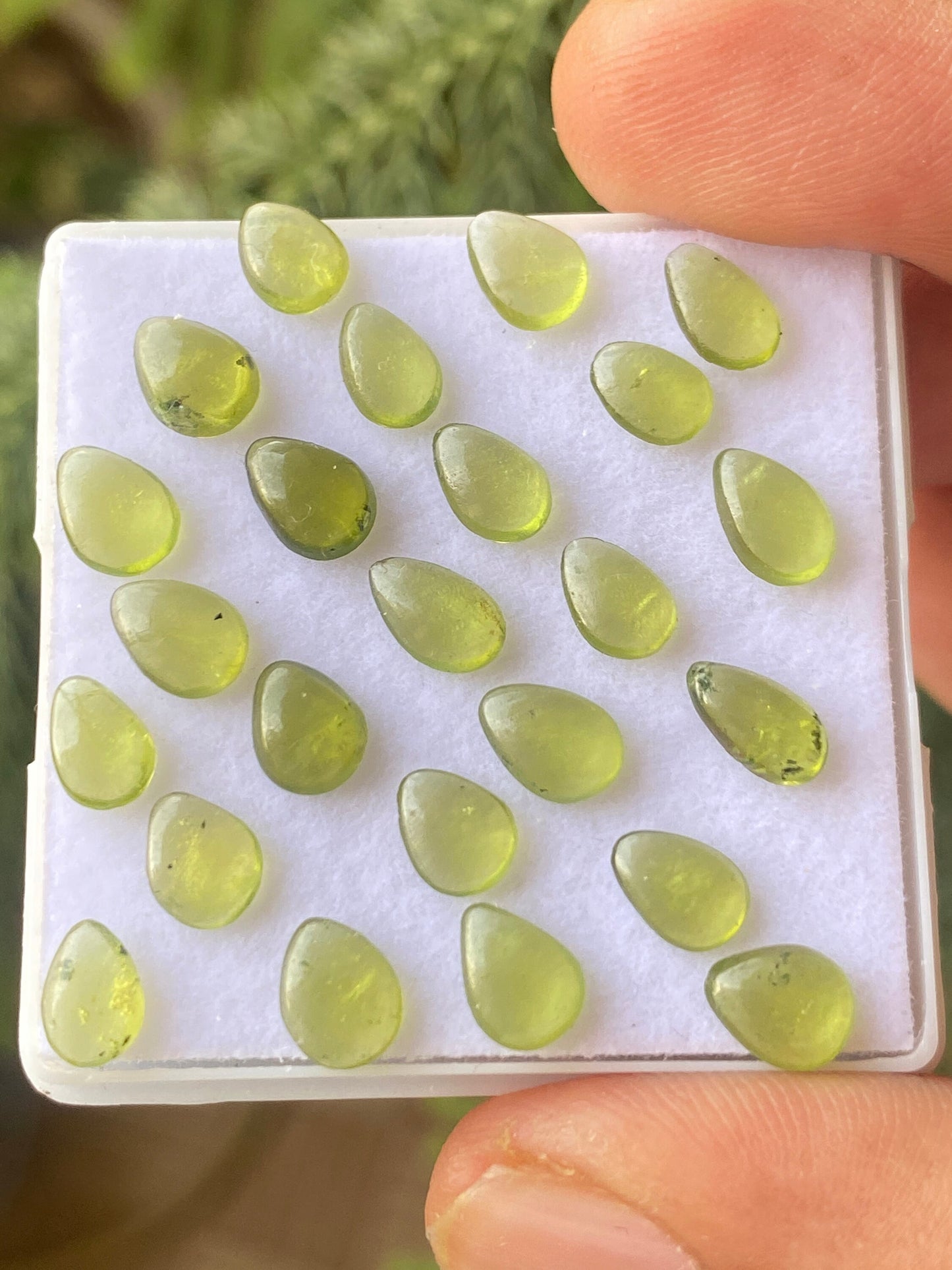 Dazzling fine quality peridot cabochons ovals wholesale lot weight 12.30 carats size 7x5mm pieces 24 peridot cabochons