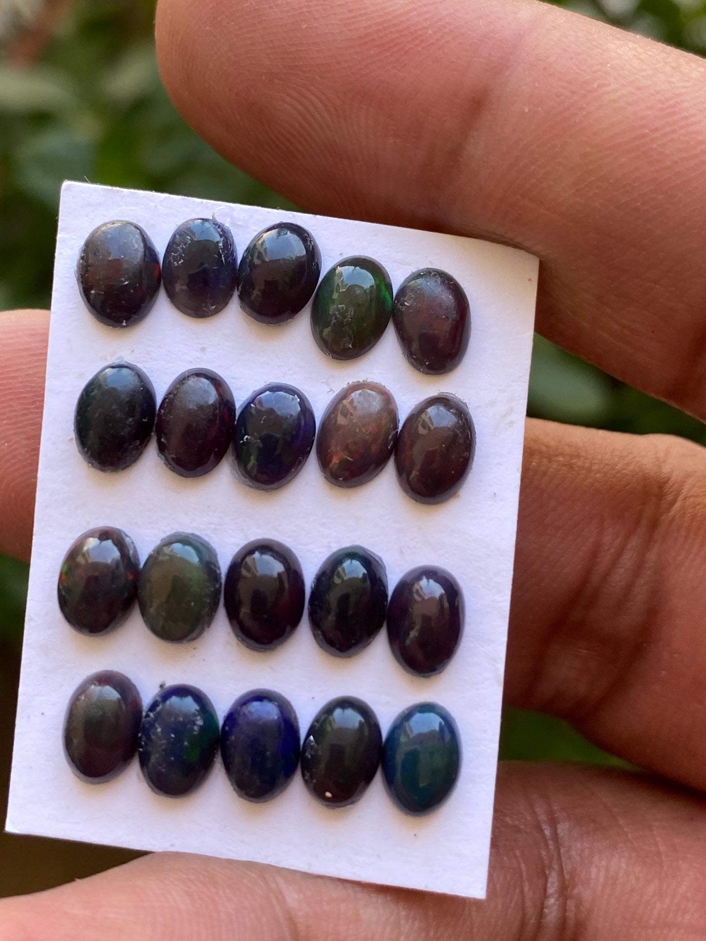 Black opal (smoked) Natural Fire opal cabochons lot size wt 9.80 cts size 7x5mm pcs 20 opal cabochon aaa quality fire black opals cabochons