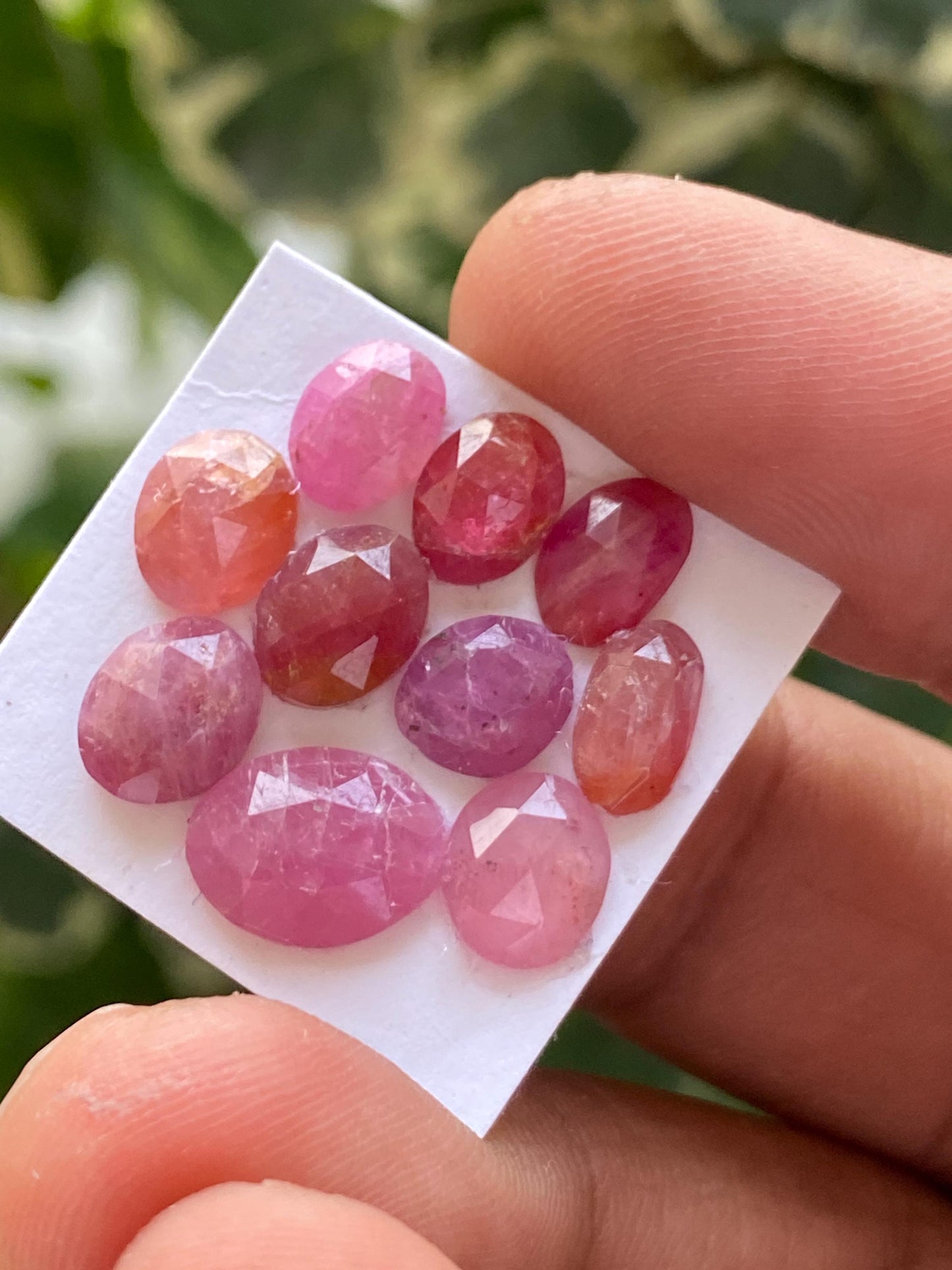 Stunning Rare natural mozambique ruby rosecut lot  mix shapes pcs 10 wt 16.5 cts size 8x6mm-11x8.5mm  unheated untreated ruby rosecut