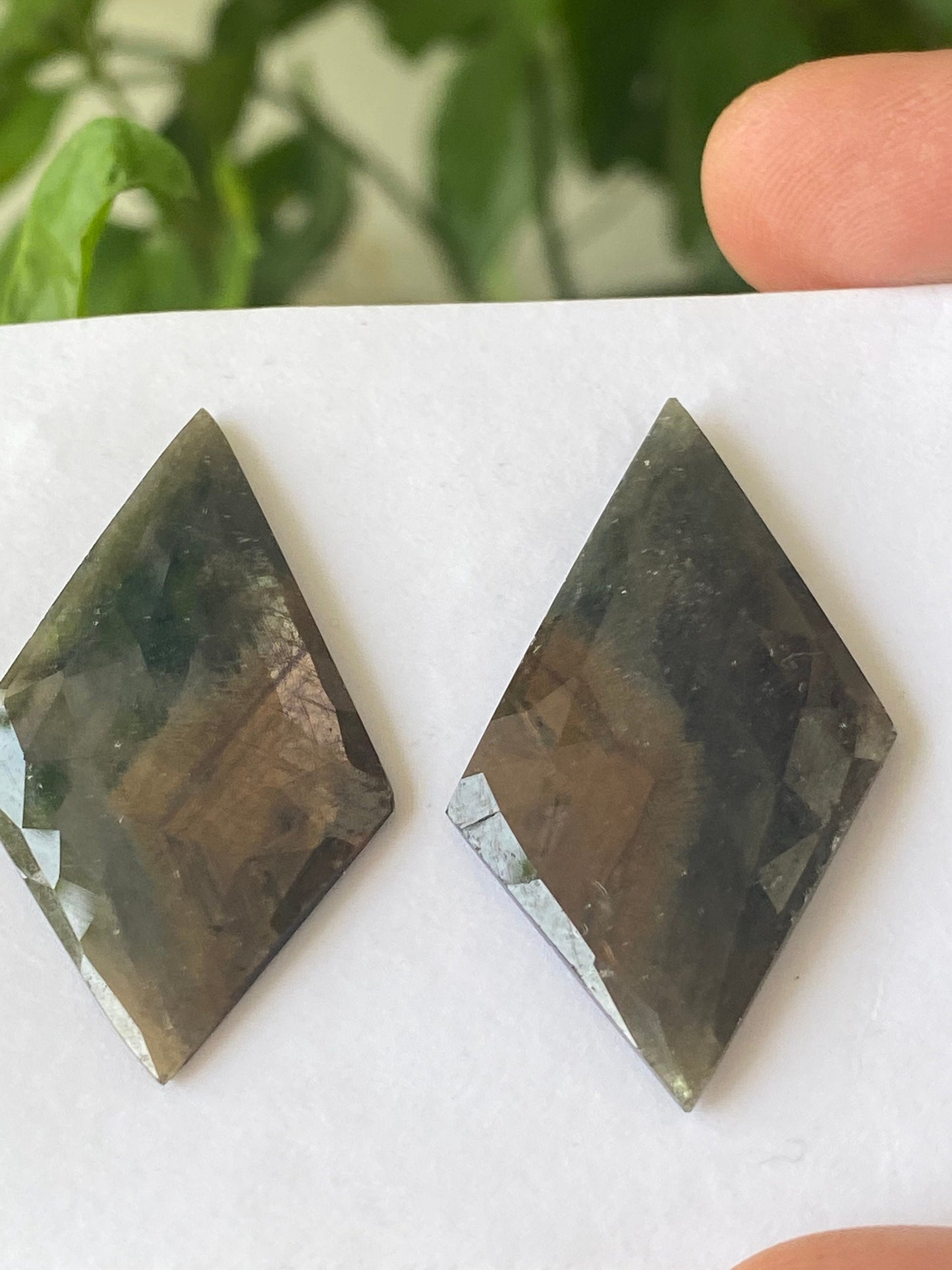 Attractive bi color sapphire rosecut matched pair fancy design green gold sheen pcs 2 wt 53 cts size 40x24mm rosecut sapphire