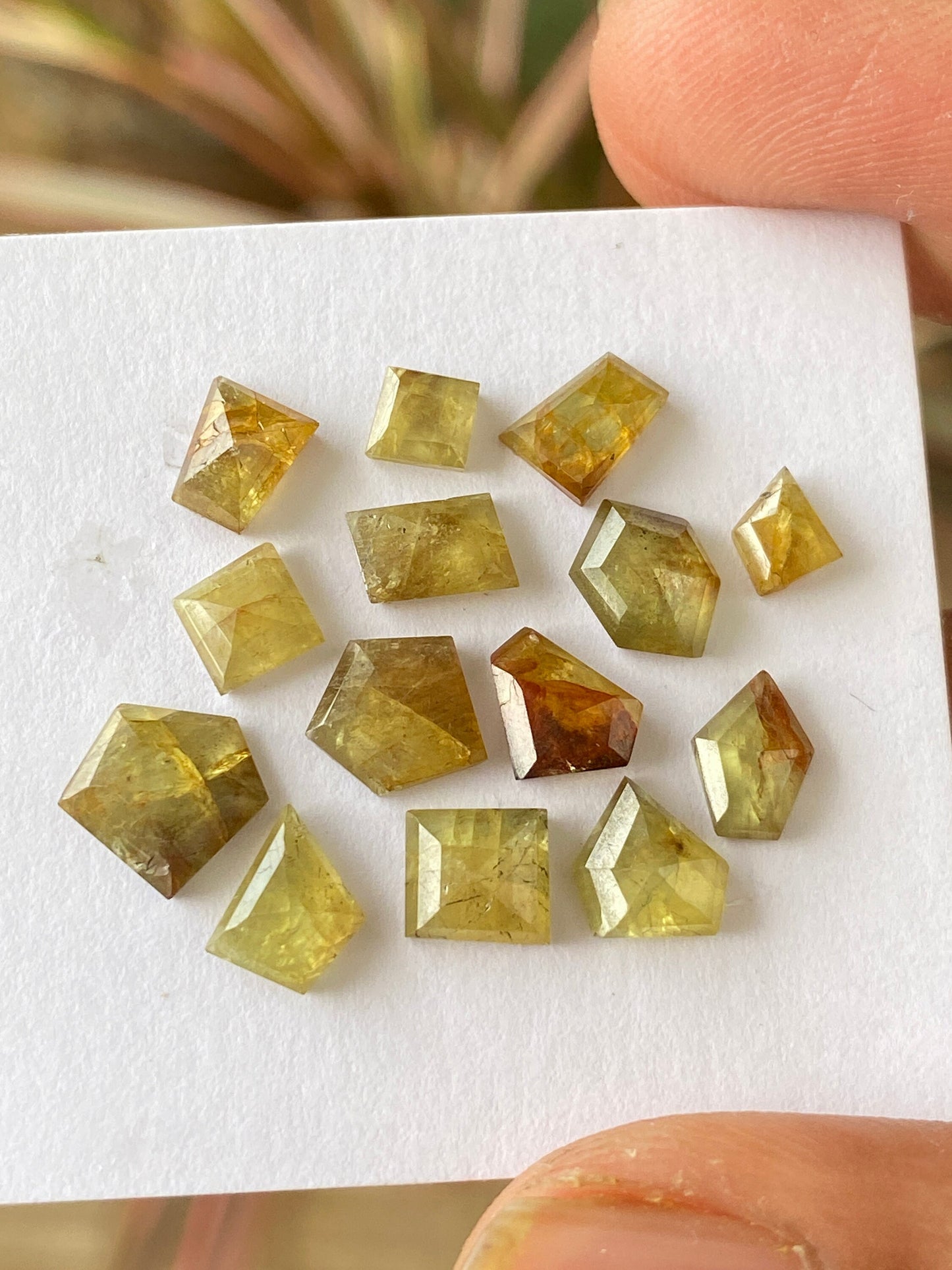 Dazzling very rare Tanzania mines small yellow sapphire Bicolor geometric wt 15 carats pcs 14 size 5x4mm-8x7mm sapphire stepcut