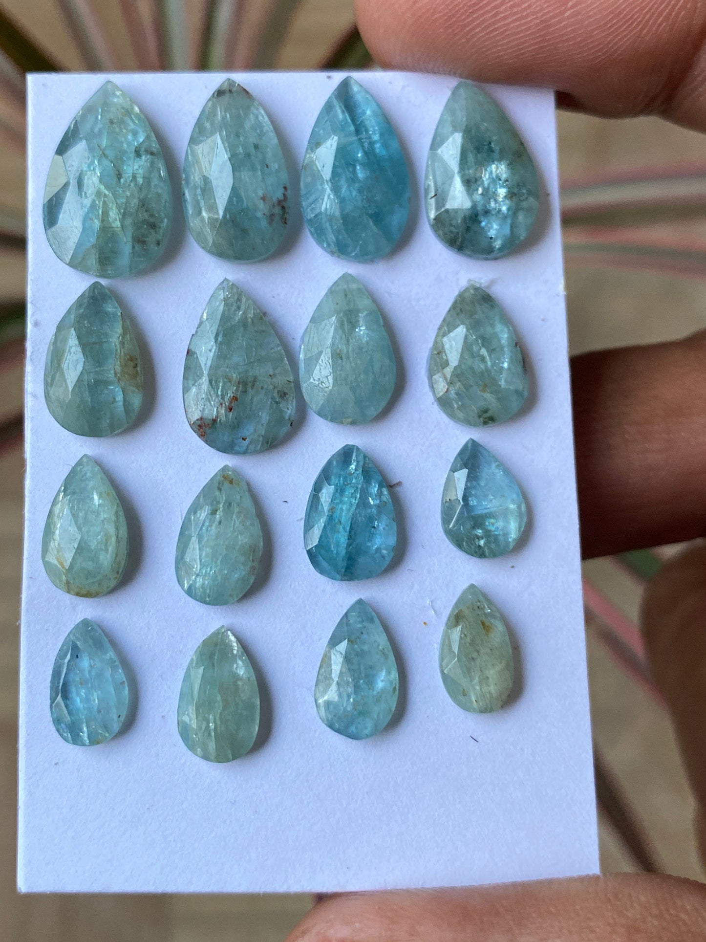 wow rare aqua color kyanite rosecut pear shape amazing quality lovely color weight 48 carats pieces 16 size 9.7x5.7mm-15.8x10mm rosecut gems