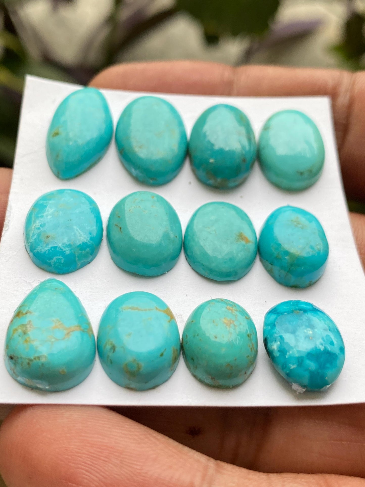 Fabulous rare Arizona  mines Turquoise cabochons natural smooth polished mix shapes pcs 12 wt 68 carats 12x10-17x12mm turquoise cabochons