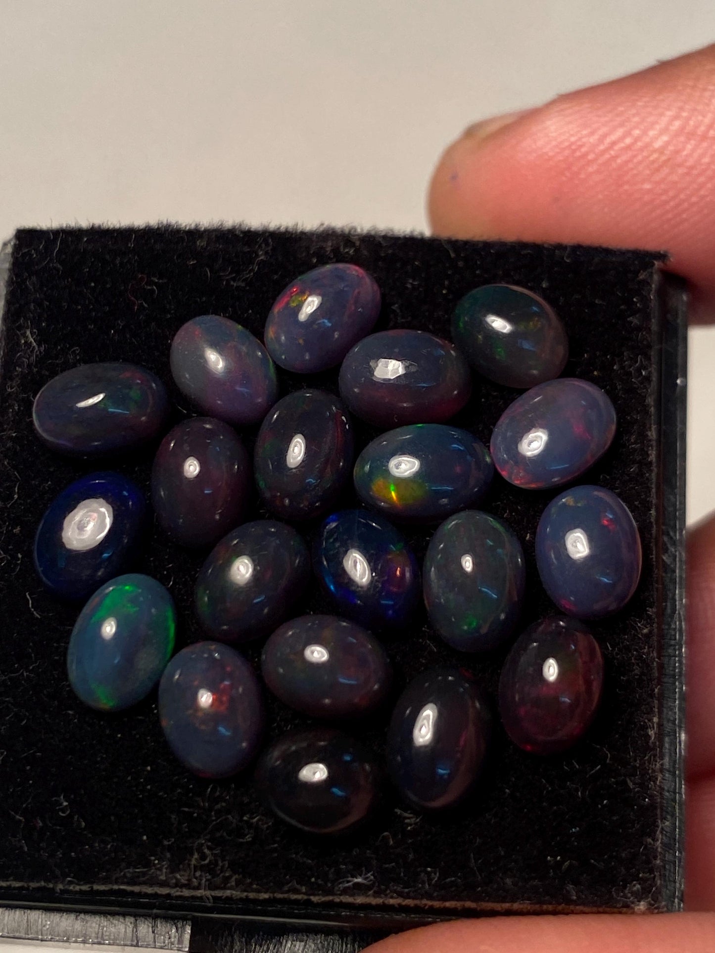 Vivacious Black opal (smoked) Natural Fire opal cabochons lot size wt 12.40 cts size 7x5mm pcs 20  opal cabochon fire black opals cabochons