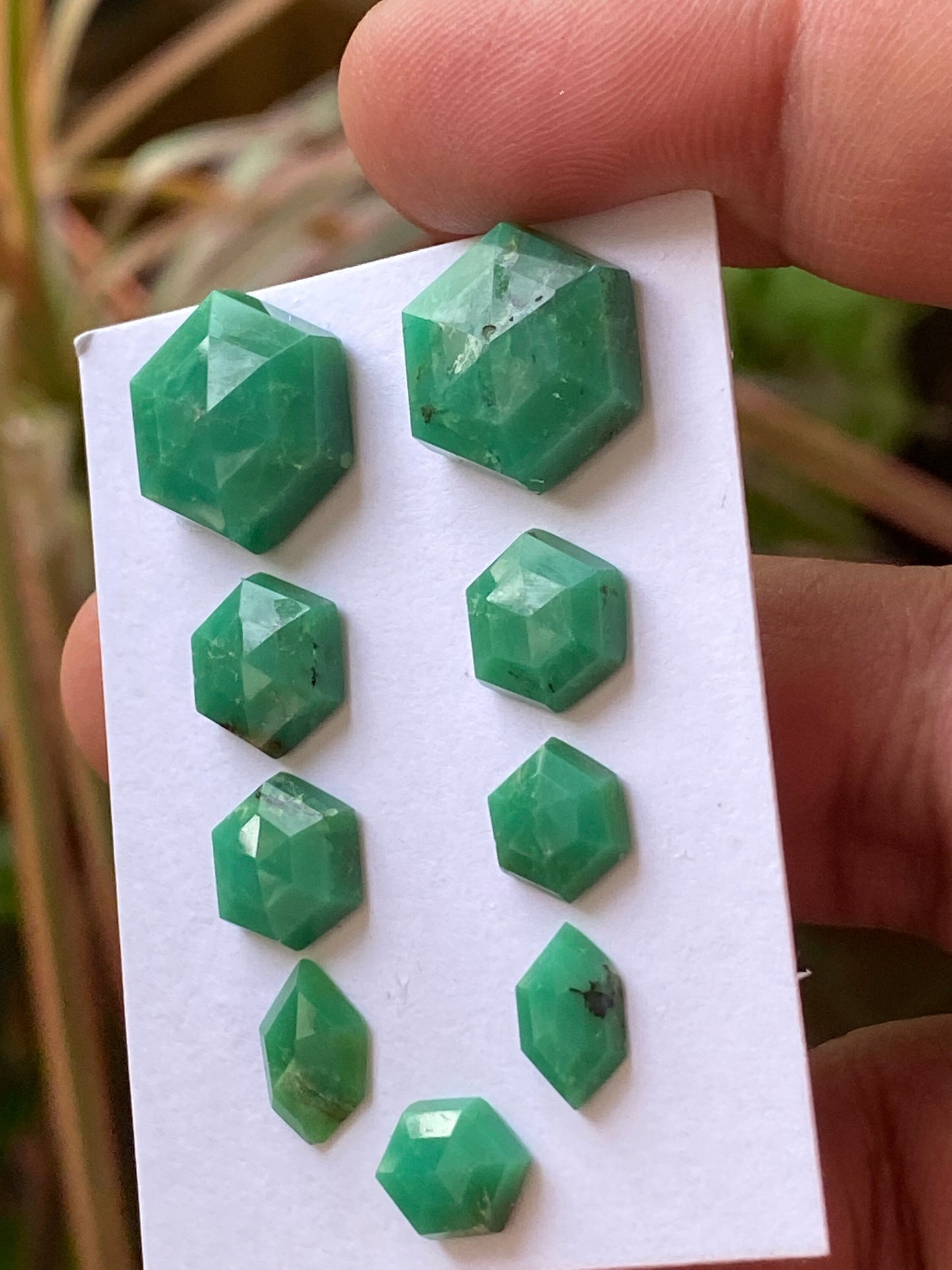 Dazzling chrysoprase hexagon stepcut wholesale lot Pcs 9 weight 30 carats size 9x7.1mm-15x12.8mm chrysoprase stepcut