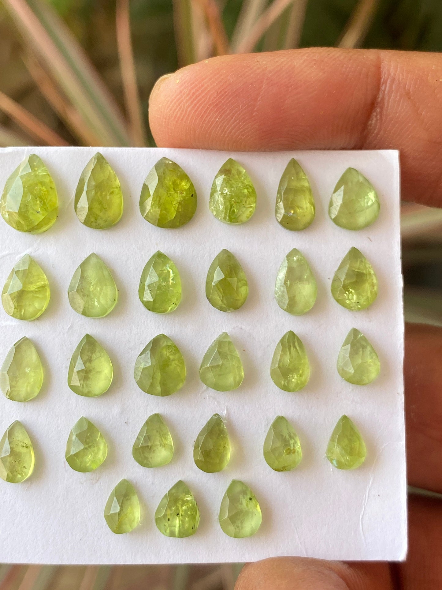 Nice rare peridot rosecuts pear shape wholesale lot weight 26 carats size 6x5mm-10x7mm pieces 27 peridot cabochons