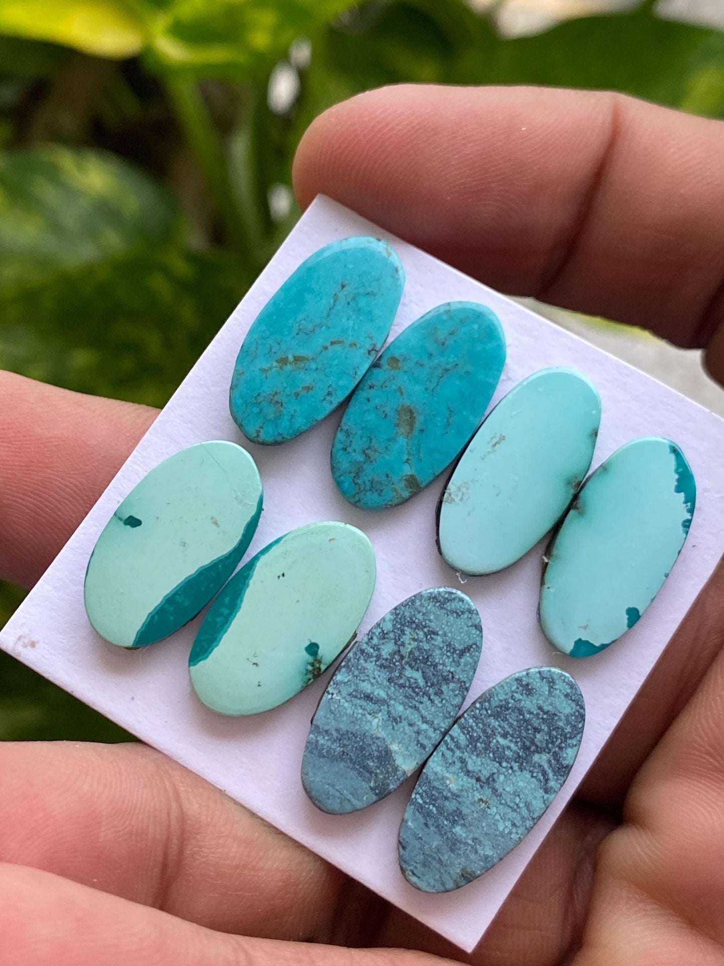 Fabulous Turquoise pairs natural hubei mines smooth polished cloud mountain pcs 8 wt 45 carats big 19x10-21x10mm turquoise earrings supply