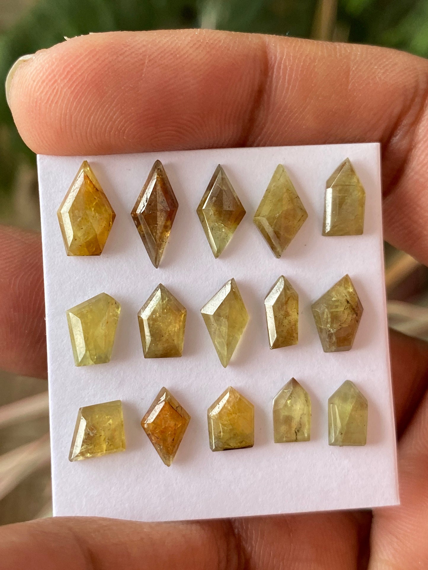 Mesmerising very rare Tanzania mines small yellow sapphire Bicolor geometric wt 17 carats pcs 15 size 7.3x5.5mm-11x6.5mm sapphire stepcut