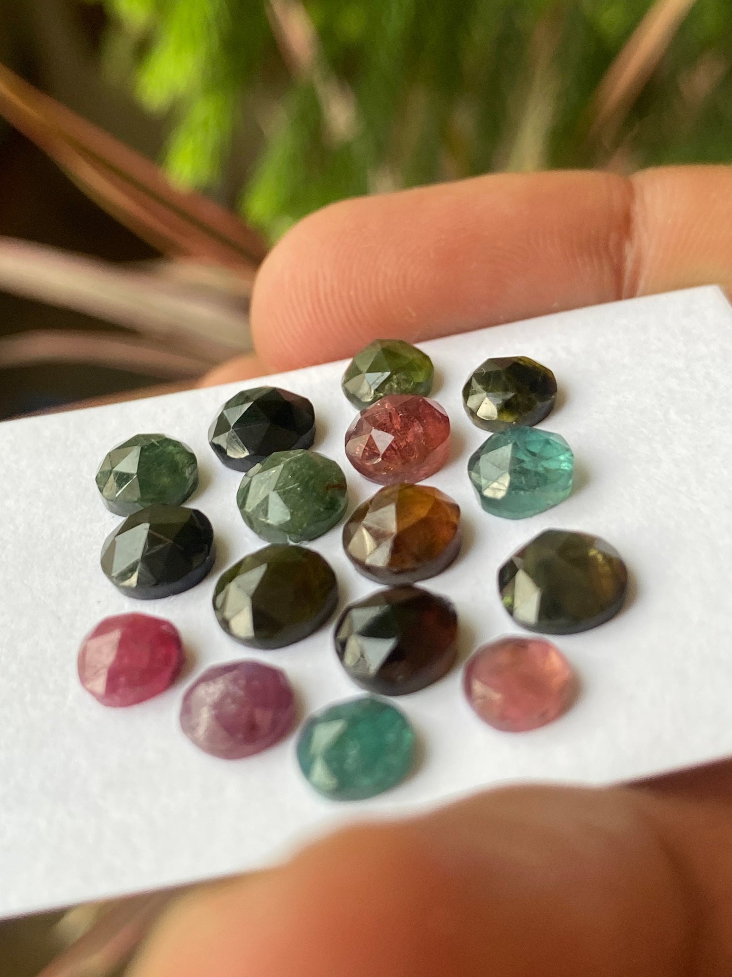 Fascinating multi tourmaline Rosecuts round wt 19 carats size 5.5mm-7mm Pcs 16 rosecut multi tourmaline lot