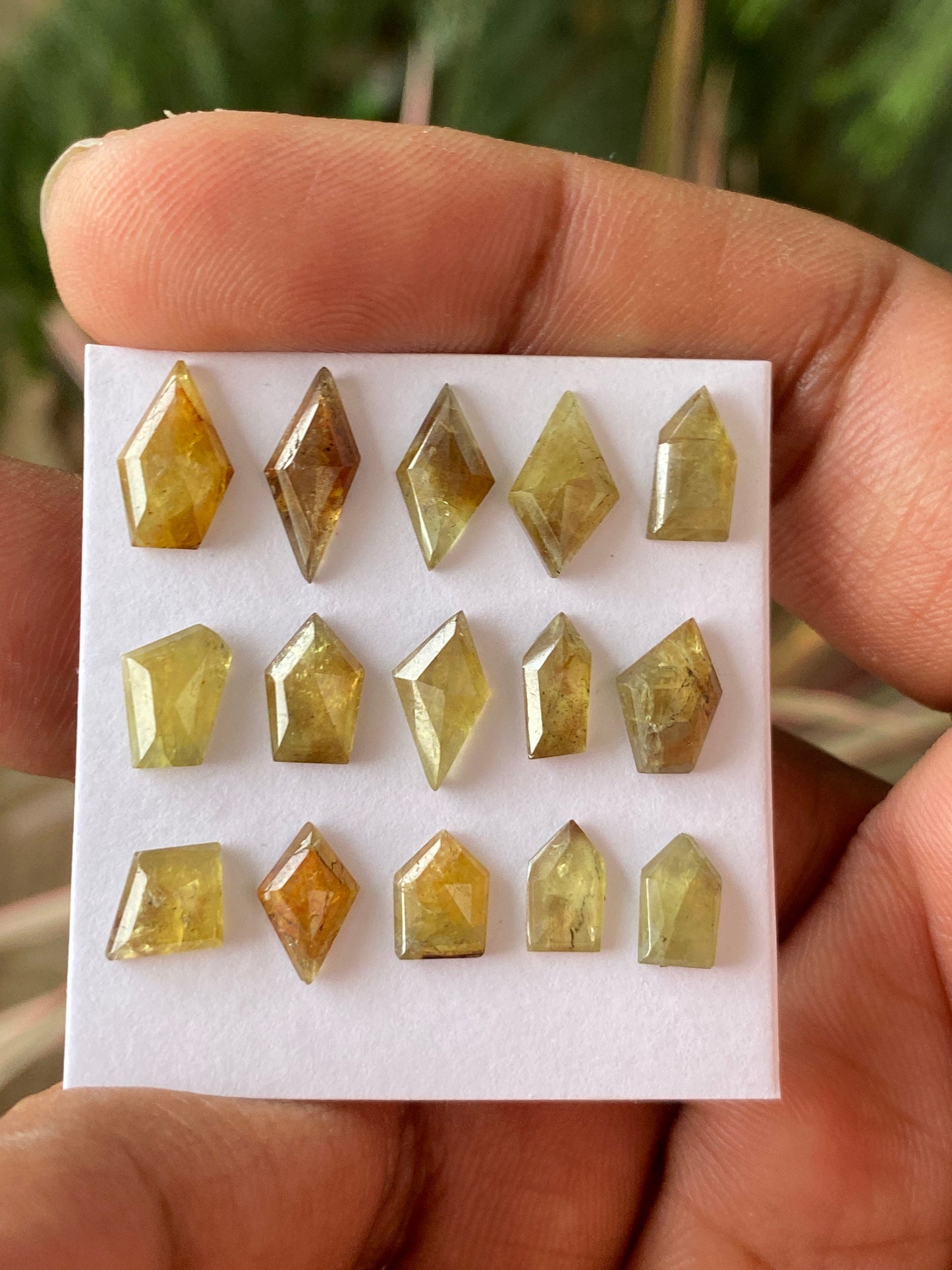 Mesmerising very rare Tanzania mines small yellow sapphire Bicolor geometric wt 17 carats pcs 15 size 7.3x5.5mm-11x6.5mm sapphire stepcut