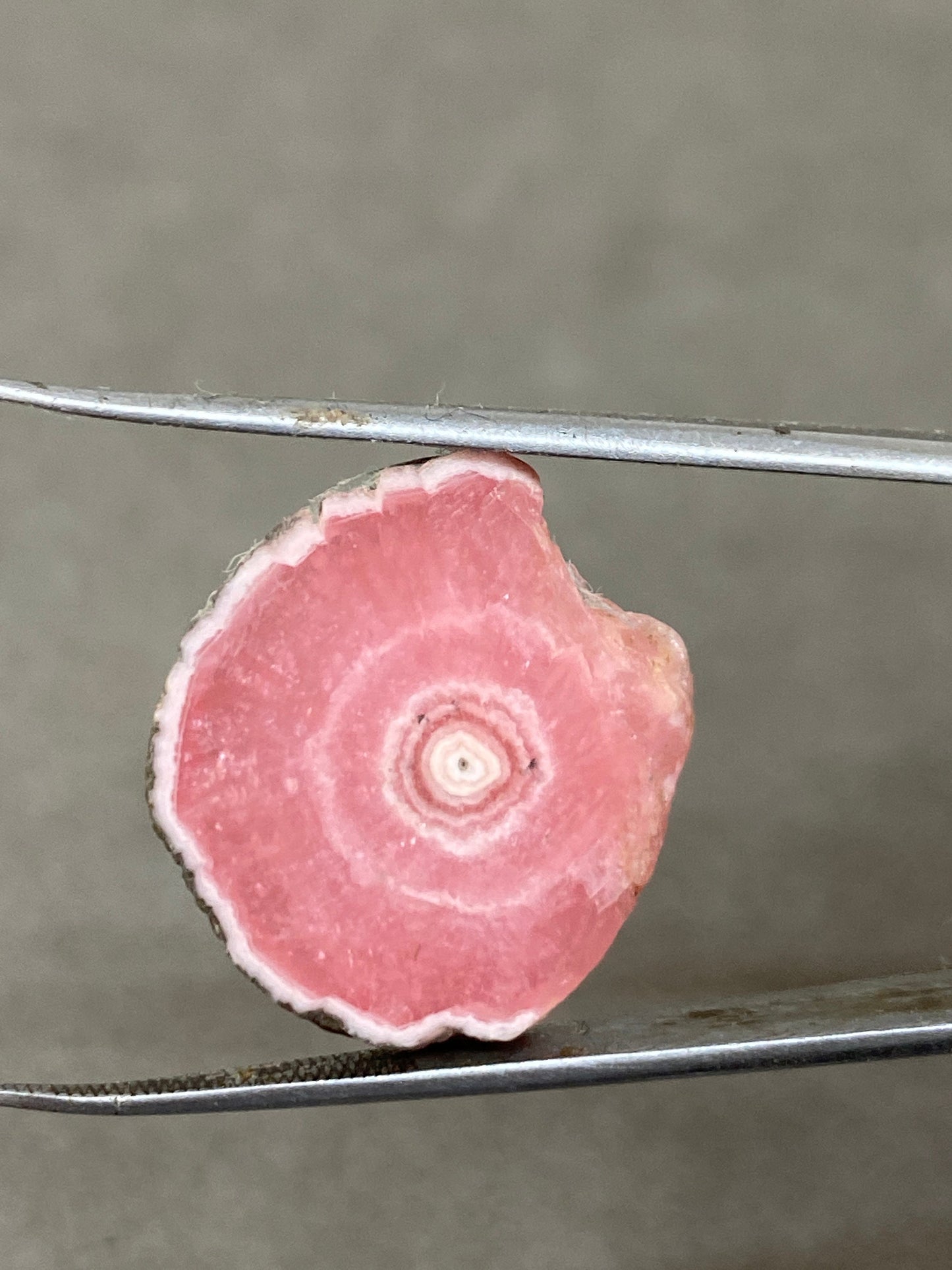 Aaa quality rhodochrosite slice watermelon smooth polished wt 16 carats size 23x19mm one of a kind very rare