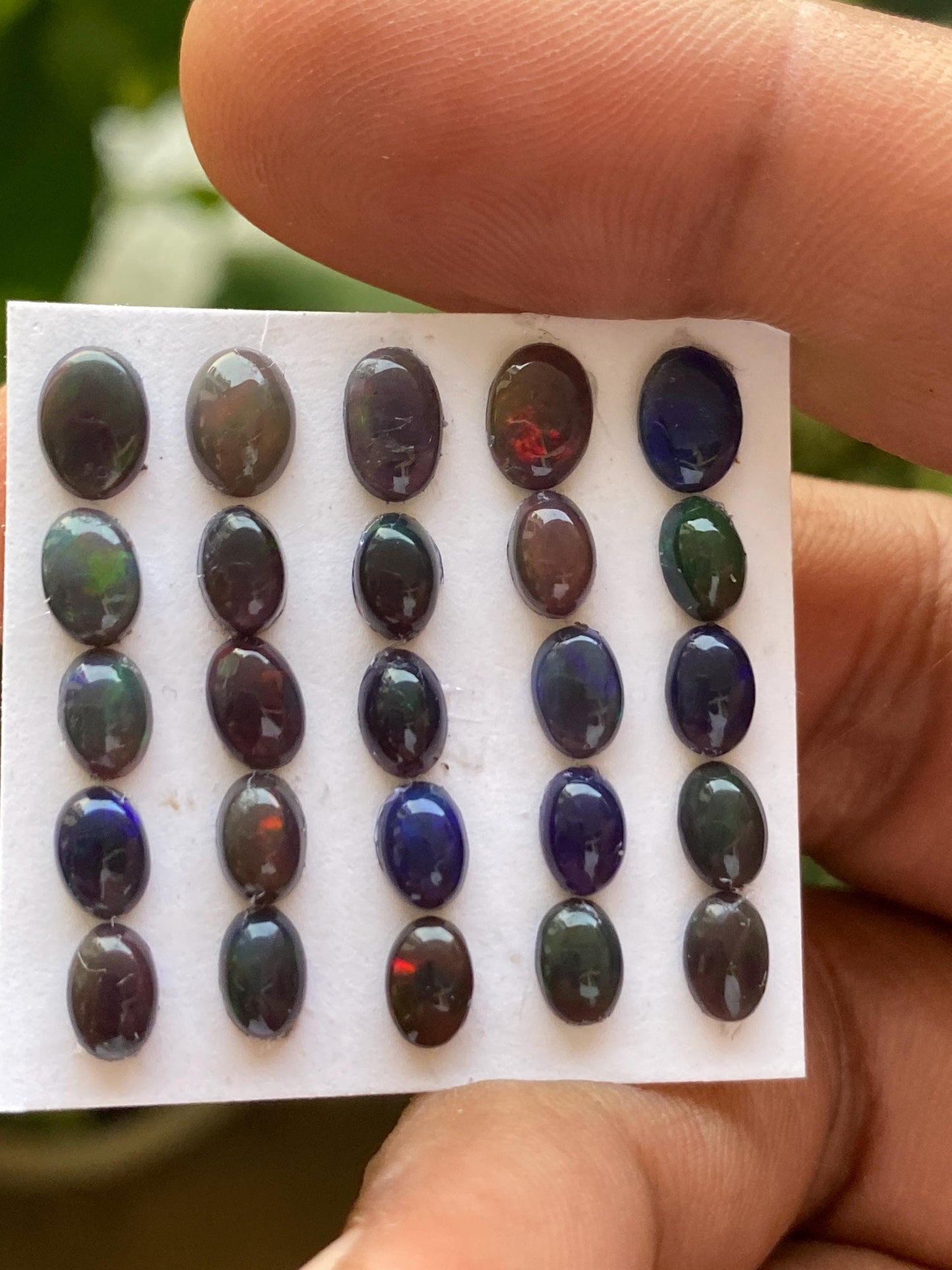 Stunning Black opal (smoked) Natural Fire opal cabochons lot size wt 8.5 cts size 6x4-7x5mm pcs 20 opal cabochon fire black opals cabochons