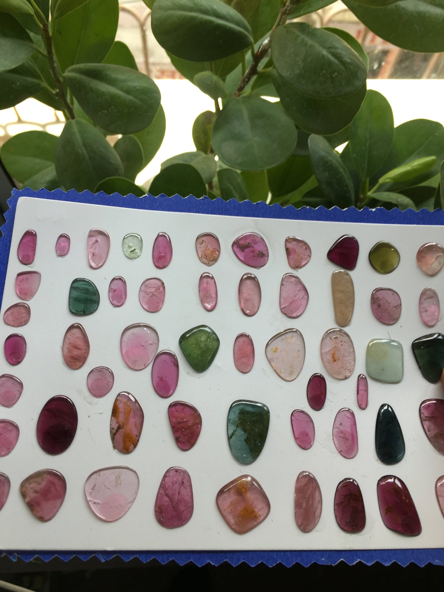 Awesome Pink multi color tourmaline flats smooth polished 8x4mm to 18.5x14mm 96 carats 54 Pcs