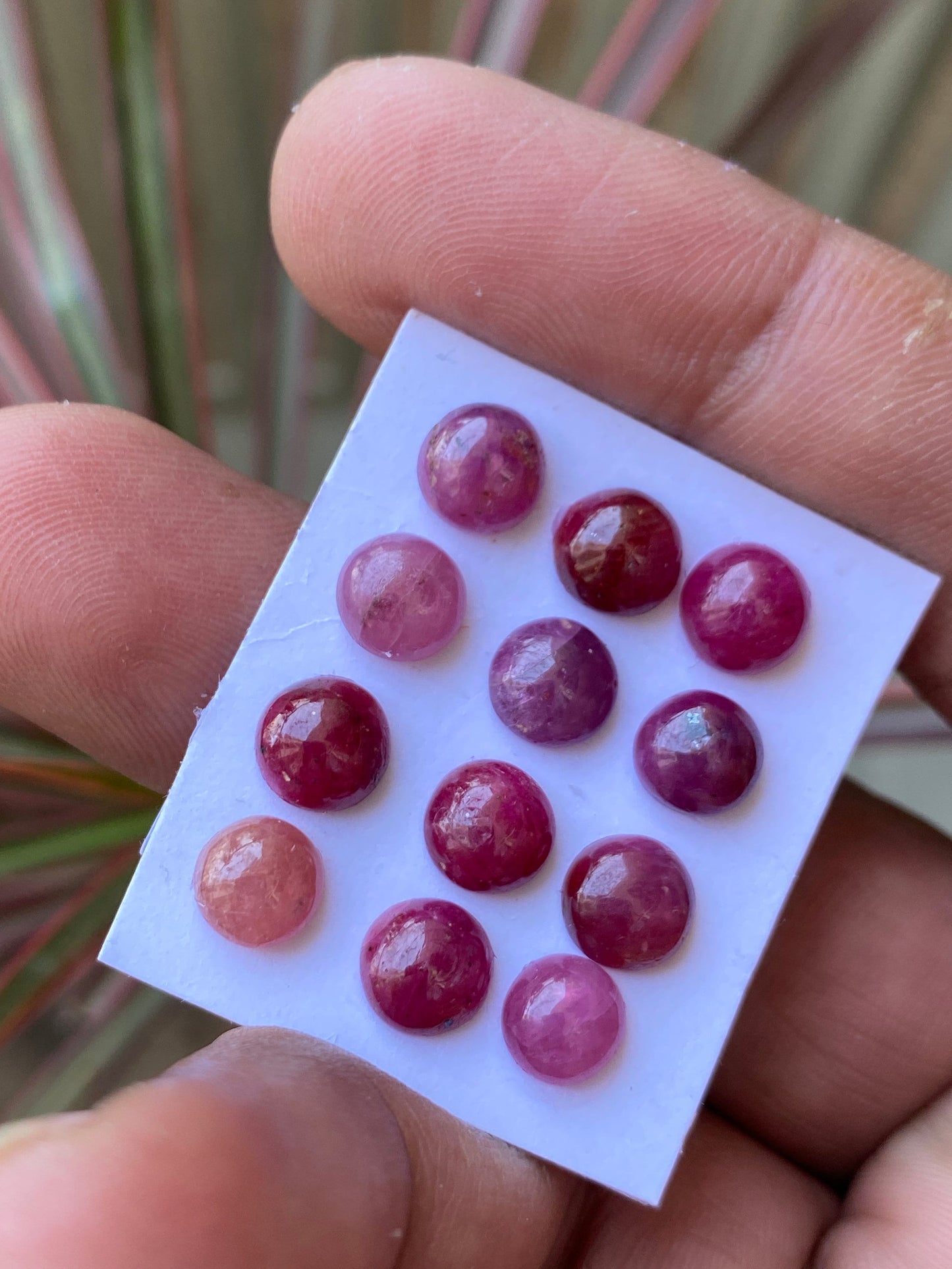 Very rare delightful ruby round cabochon pcs 12 wt 21 carats size 7mm unheated untreated ruby cabochons