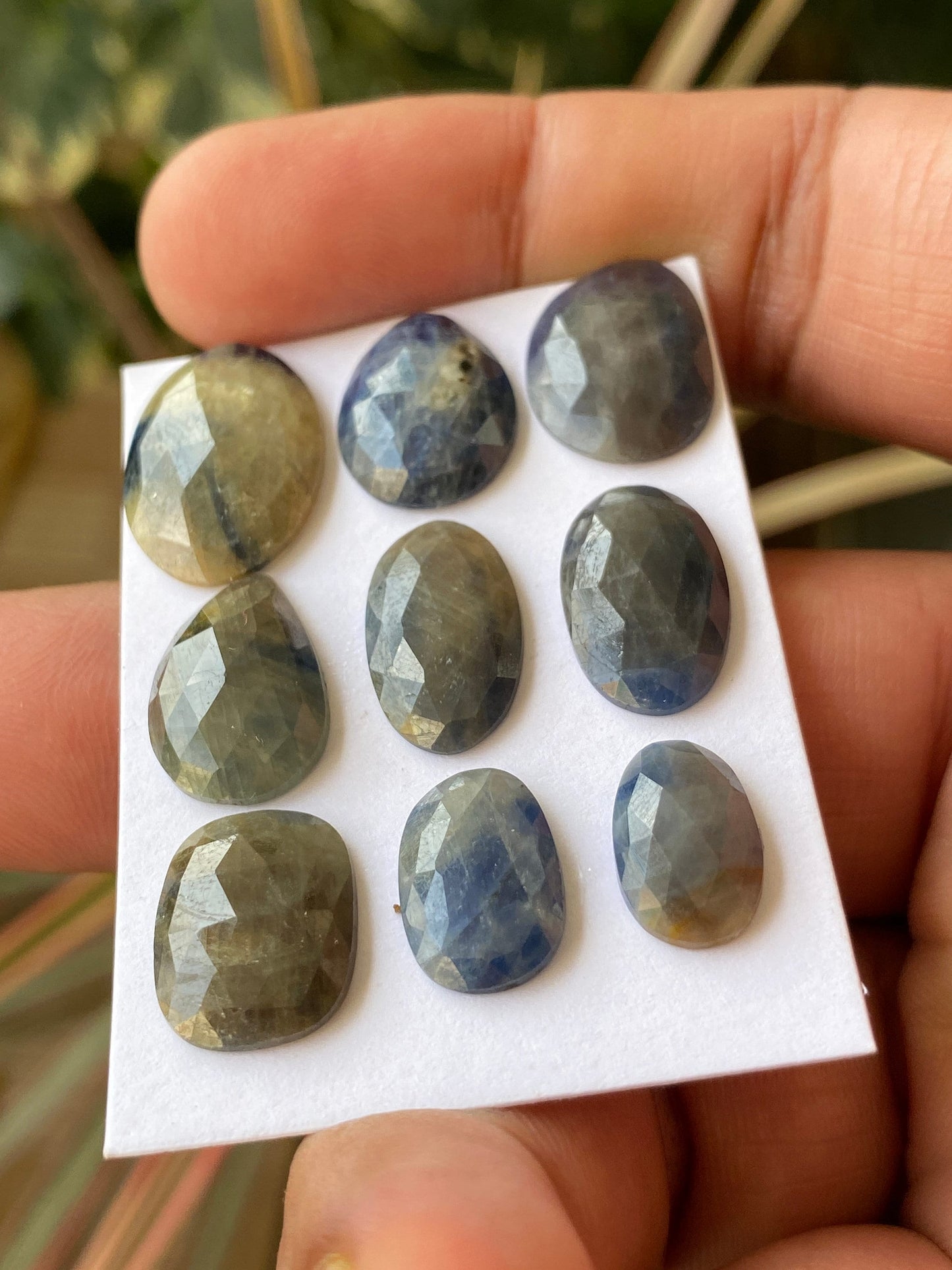 Very rare Elegant bi color sapphire rosecut lot blue yellow grey weight 50 carats pcs 9 size 12.5x8.1mm-19.6x13.3mm Bicolor sapphire rosecut