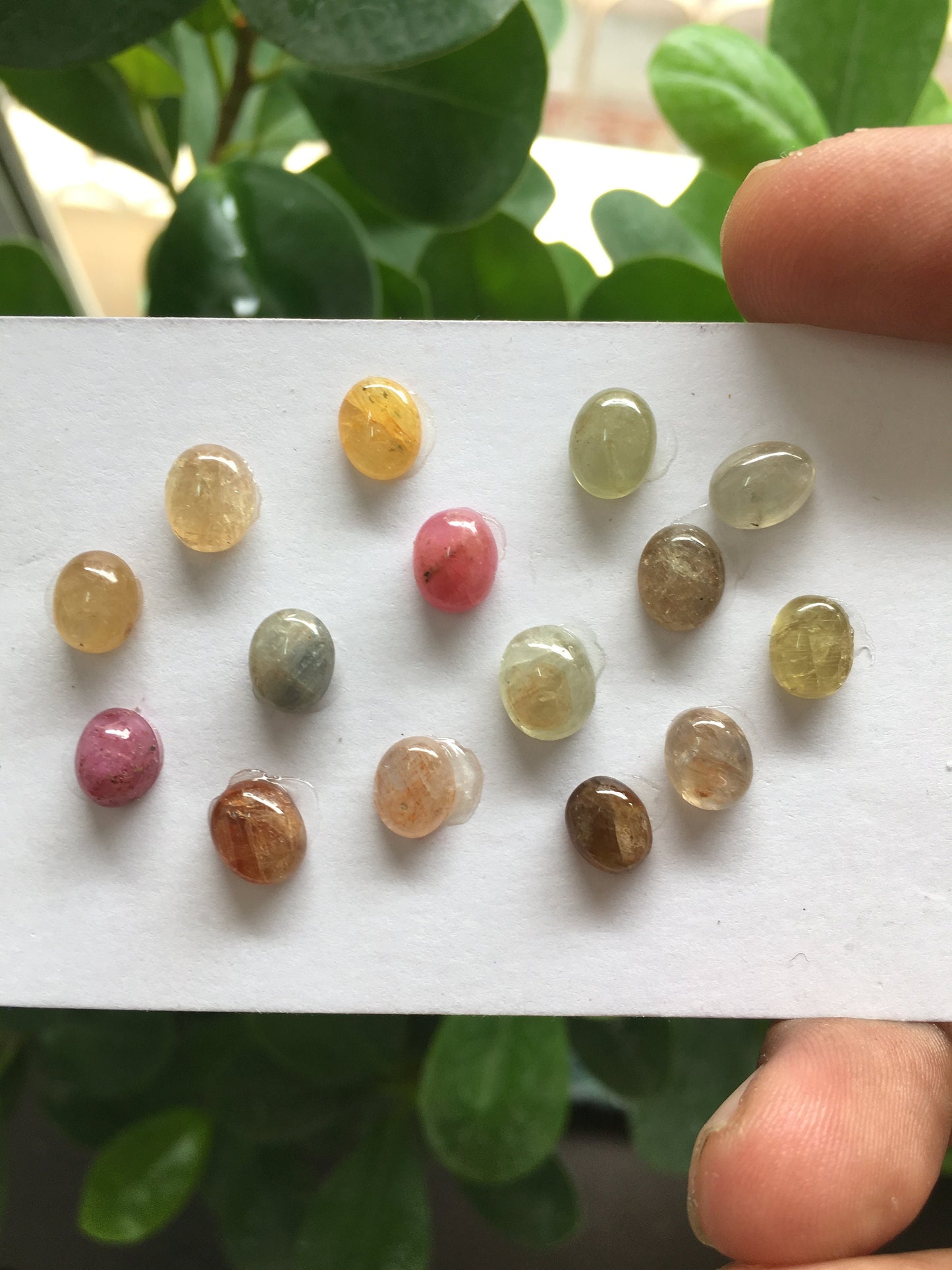 Natural umba sapphire cabochons wholesale lot weight 32.60 carats size 7.6x6.3mm to 8.7x7.4mm pcs 15 natural unheated untreated sapphire