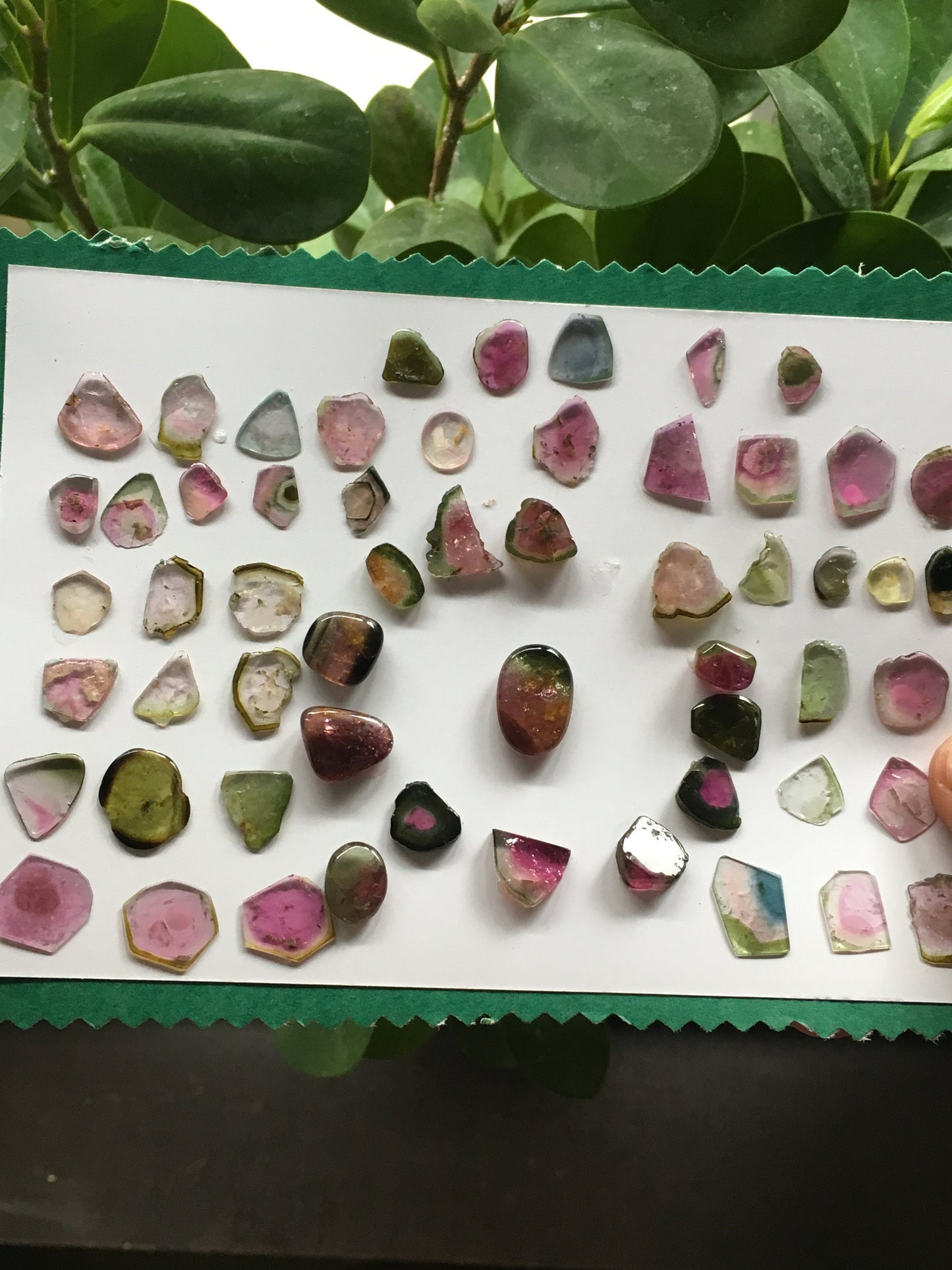 Awesome bi colour Natural tourmaline smooth polished  7x6mm to 17x12mm 108.50 carats 56 Pcs