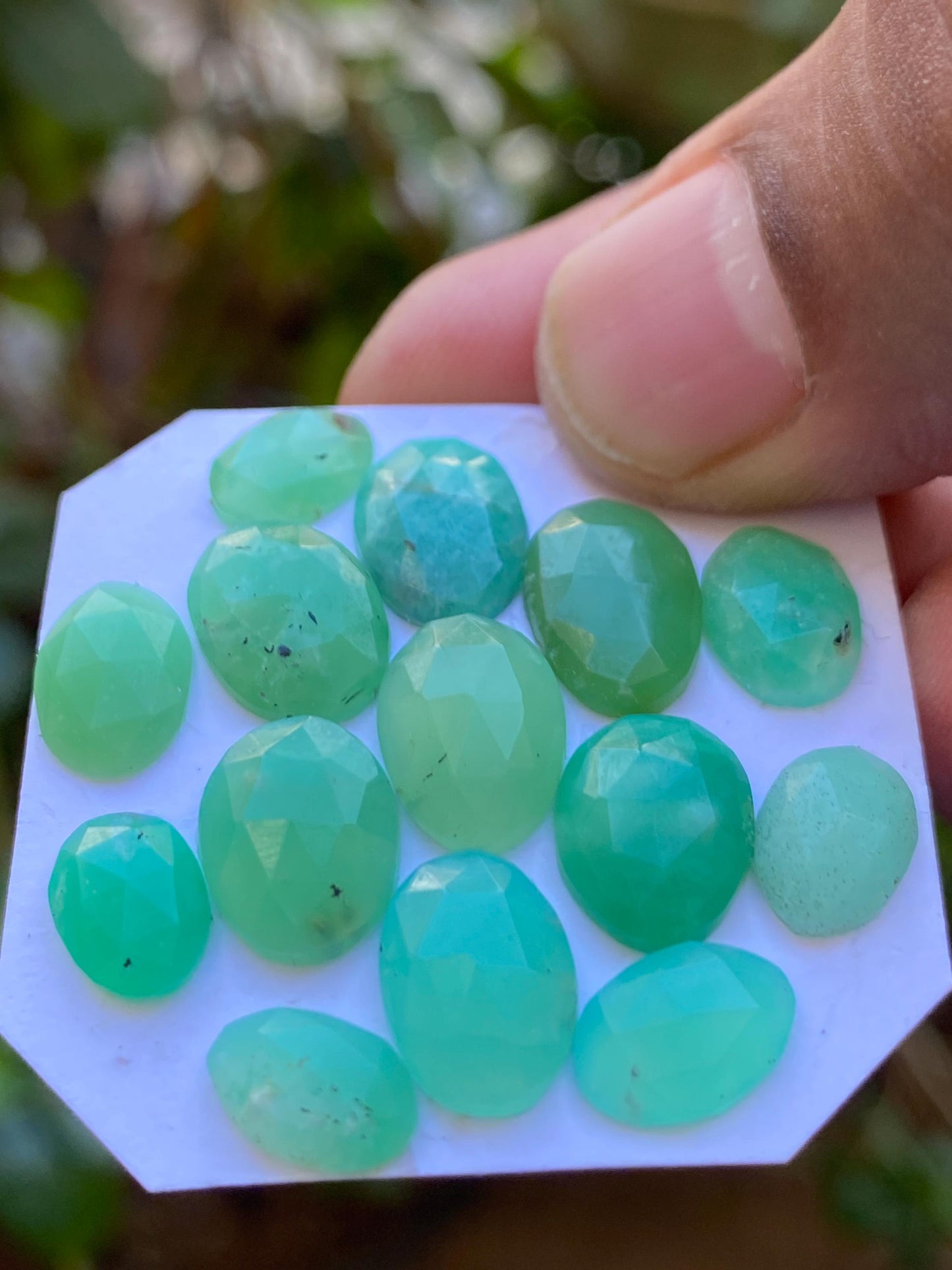 Dazzling Chrysoprase rosecut fancy wholesale lot fine quality wt 24.80 carats pcs 15 size 9x6.5mm-12.5x8.2mm chrysoprase rosecut