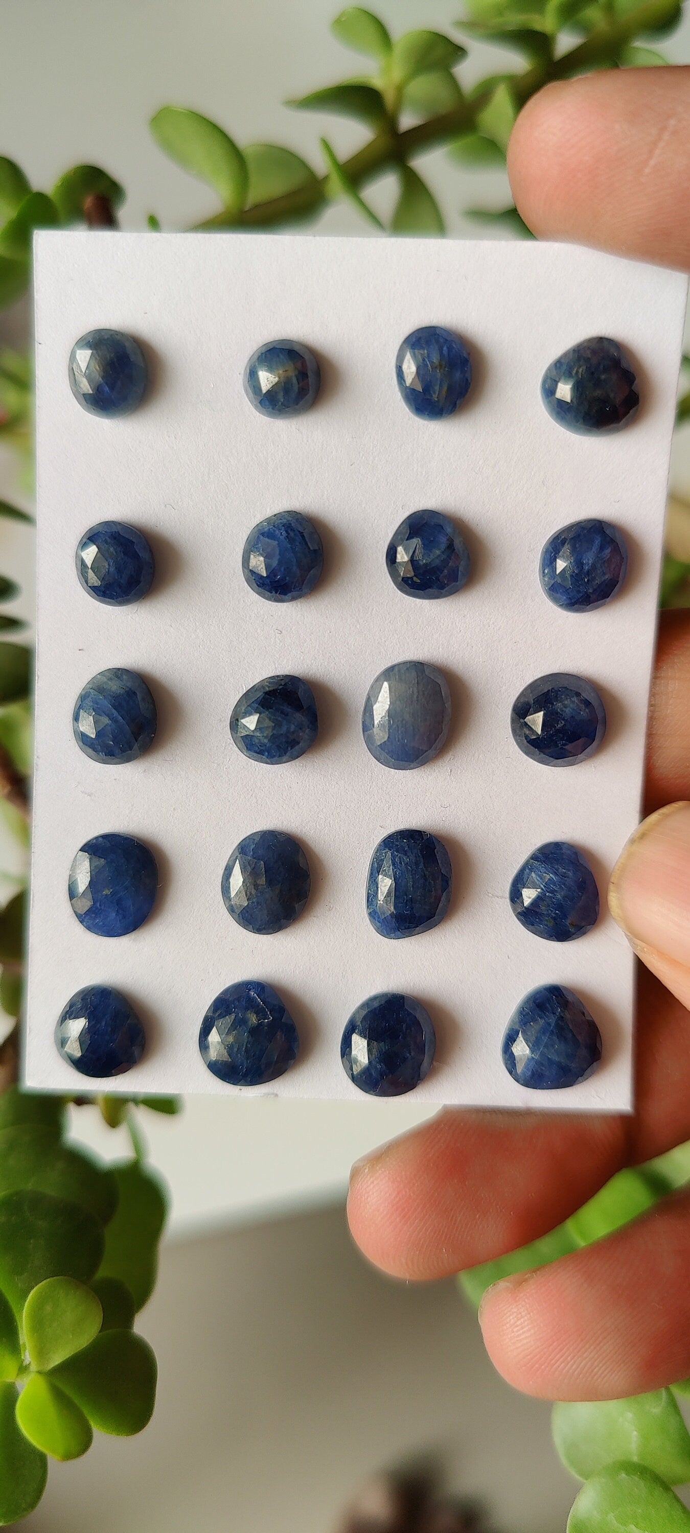 Wow Natural unheated untreated blue sapphire rosecut pcs 20 wt 53 carats size  6.8mm-9.6x7.2mm unheated blue sapphire rosecut gems