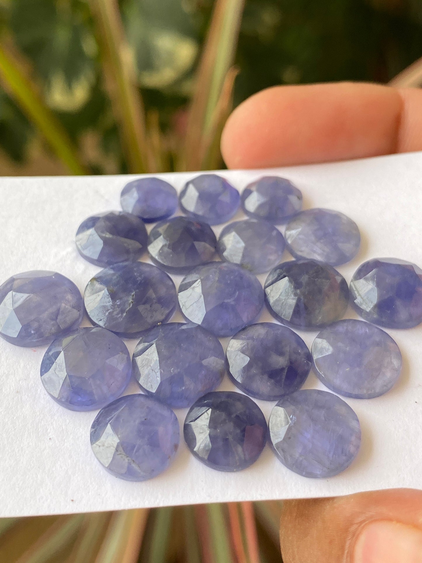 Fabulous Rare iolite rosecut wholesale lot weight 56 carats size 8.5mm-12.1mm  pcs 19  iolite rosecut iolite jewelry