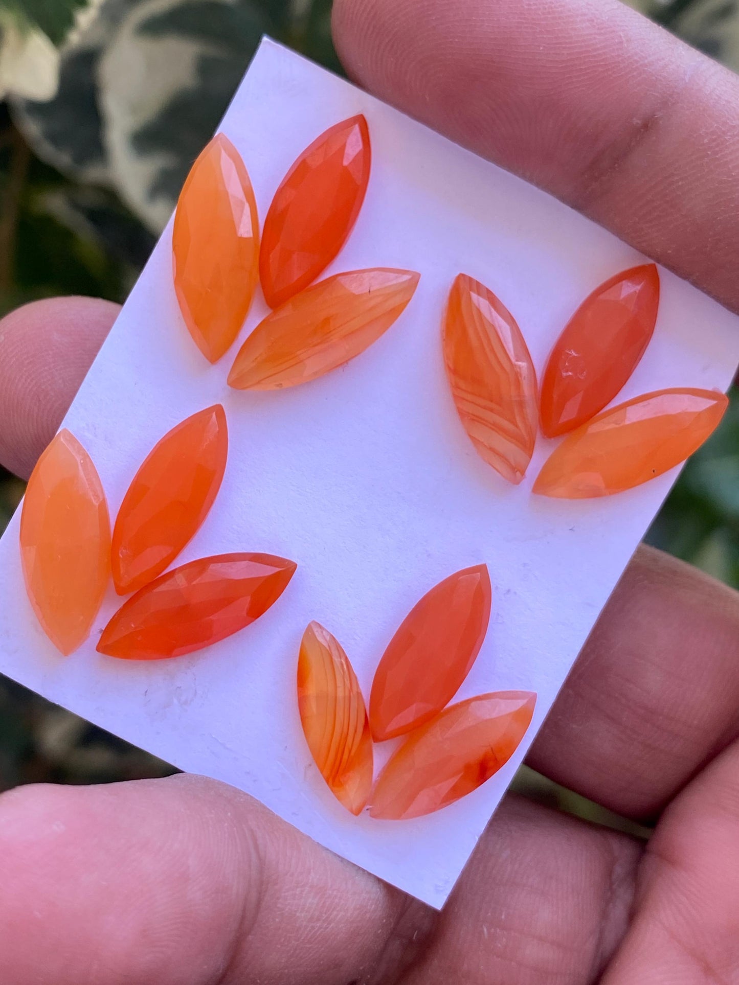 Beautiful Carnelian rosecut marquise big pcs 12 wt 37.60 carats size 15.7x5.3mm-18x7.5mm aaa quality marquise shapes carnelian cabochons