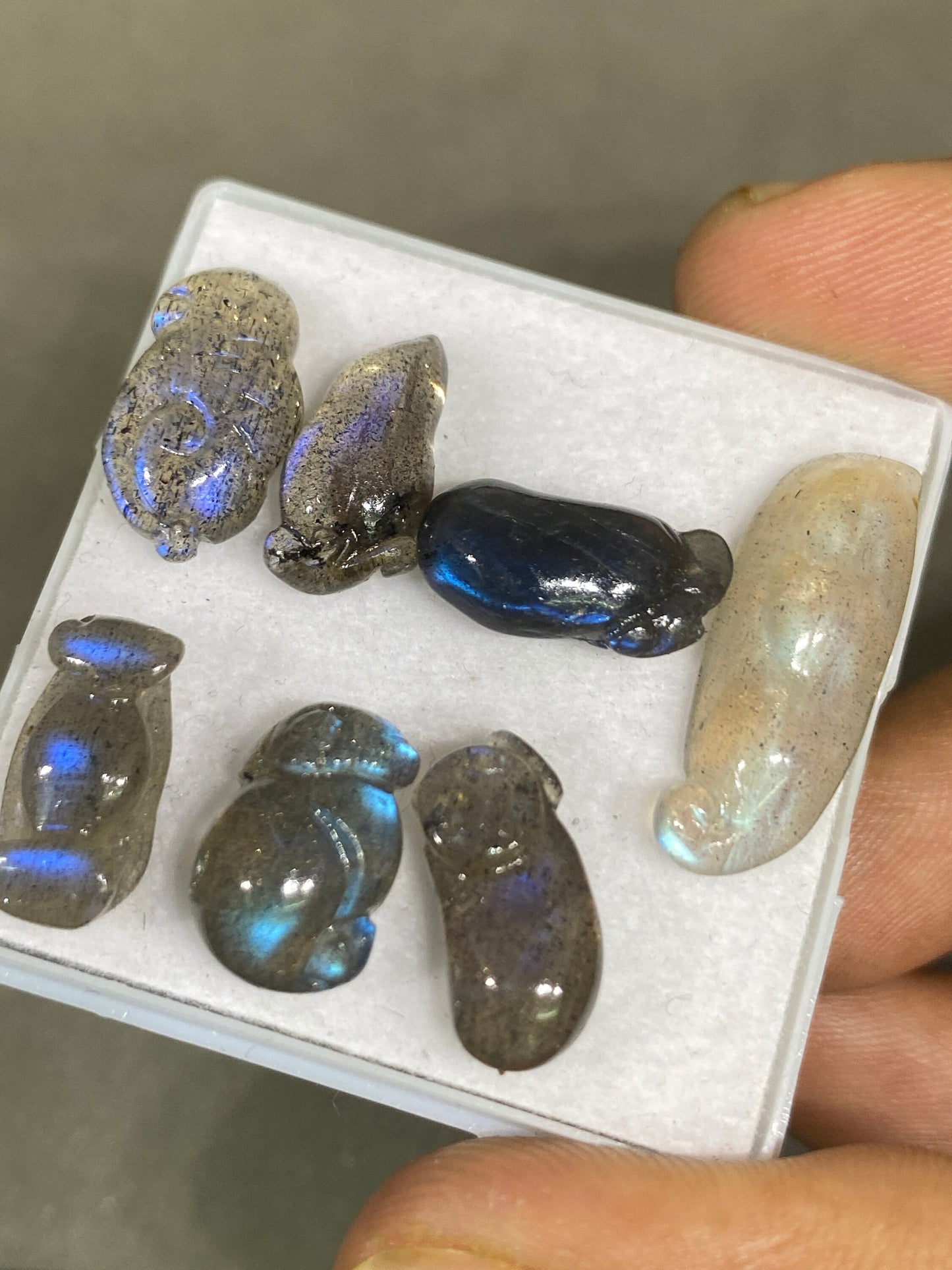 Blue fire labradorite mix carving mouse brinjal tamarind blue fire smooth polished pcs 7 wt 34 cts size 19x12-23x8mm labradorite carving