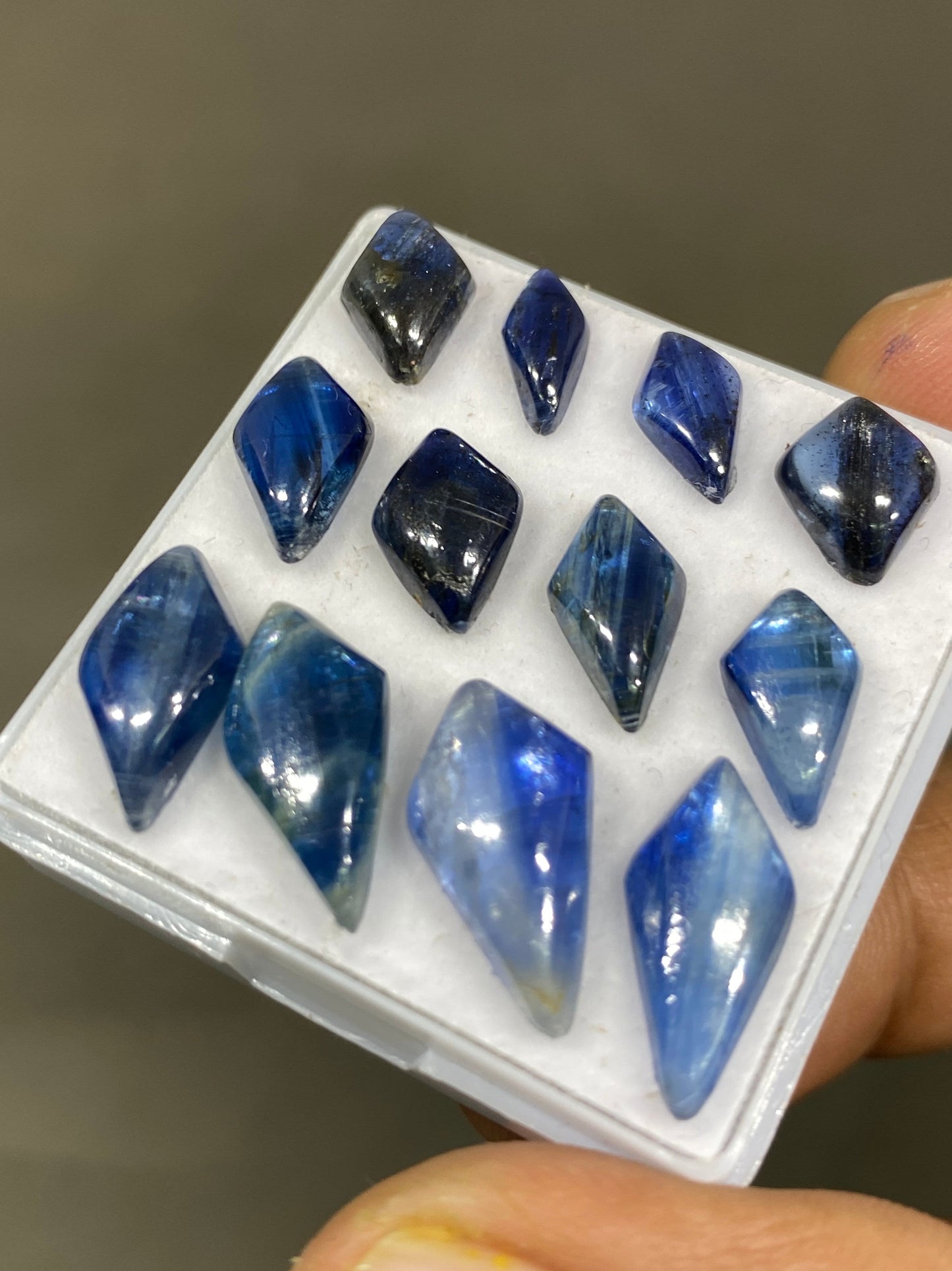 Stunning rare blue kyanite geometric kite fine quality wt 36 cts size 10x5.6mm-17.5x8.6mm pcs 12 blue kyanite kite cabochons smooth polished