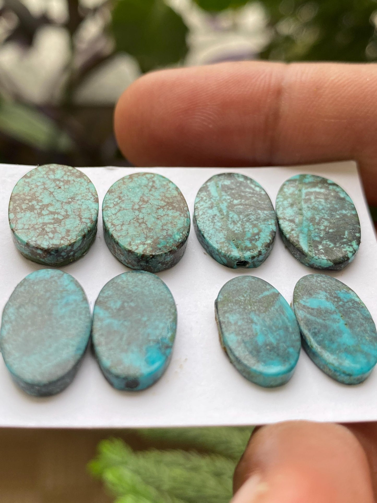 Amazing Turquoise pair natural hubei mines  pattern smooth turquoise pcs 8 wt 37.20 carats good size turquoise earrings supply