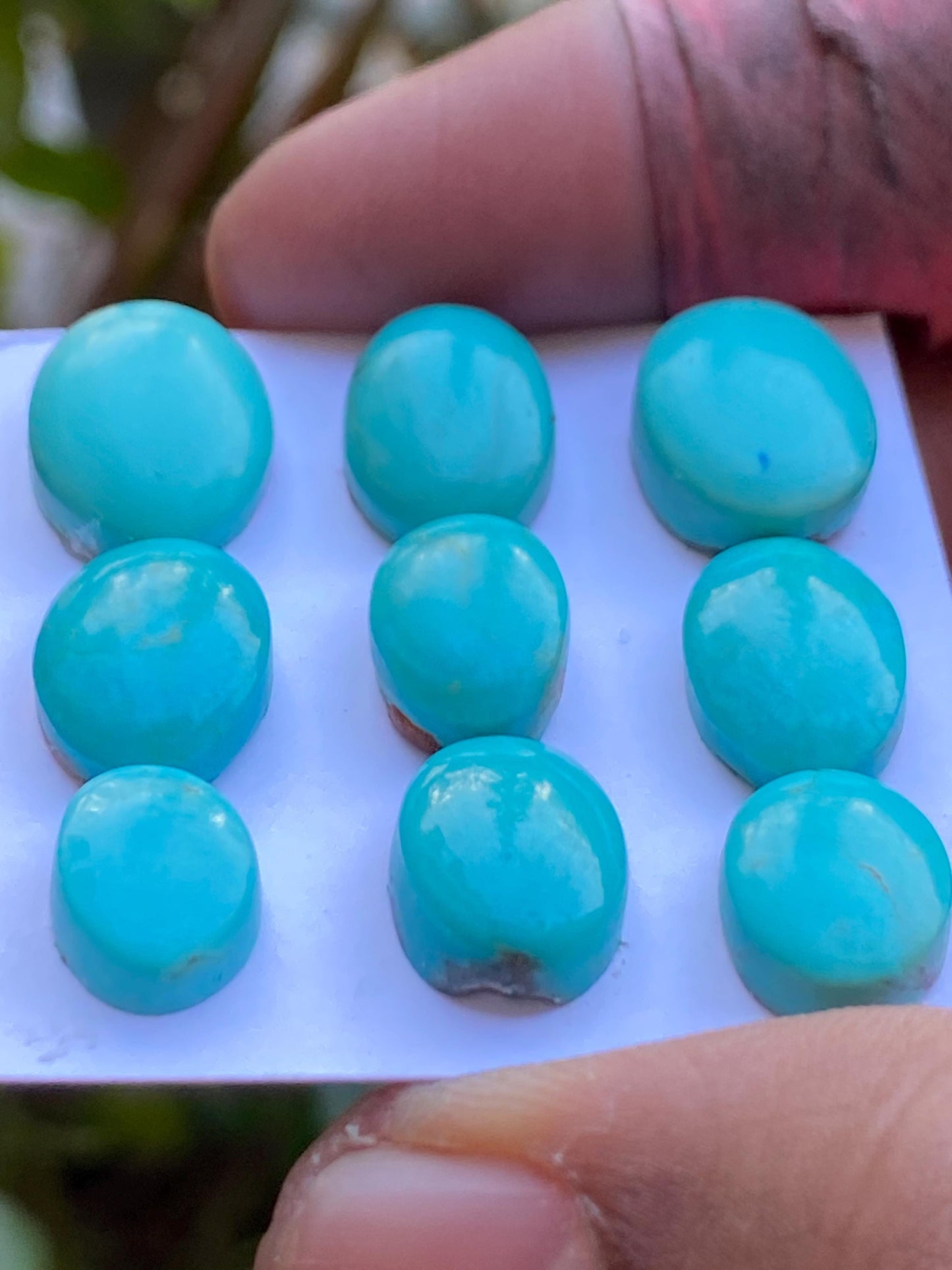 Lovely rare Arizona  mines Turquoise cabochons  natural smooth polished ovals pcs 9 wt 44.70 carats 11.8x8.5mm-15.6x11mm turquoise cabochons