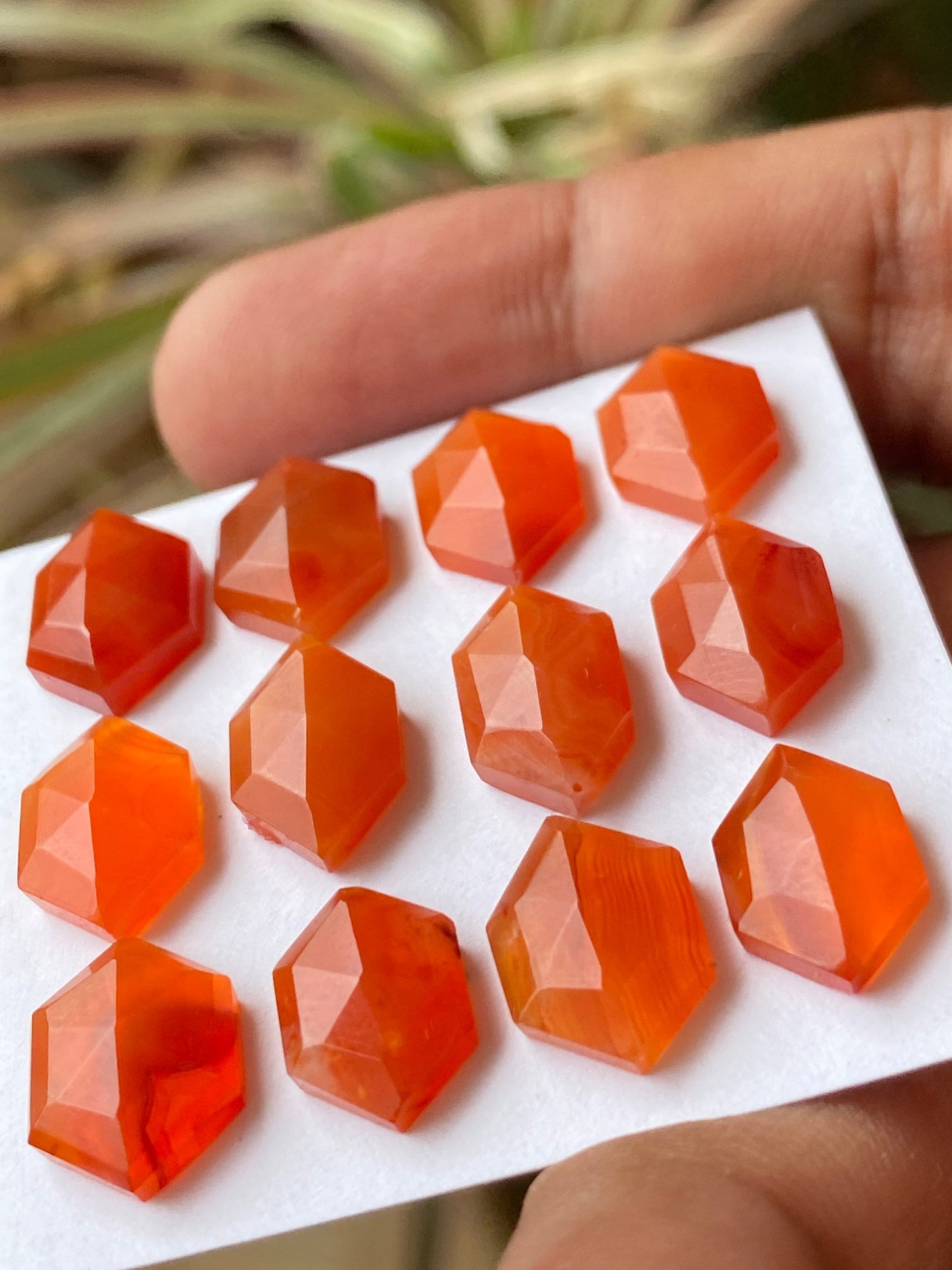 Fascinating carnelian hexagon step cuts wt 42 cts pcs 12 size 12.6x8mm-15.2x9.5mm Carnelian  stepcut hexagon