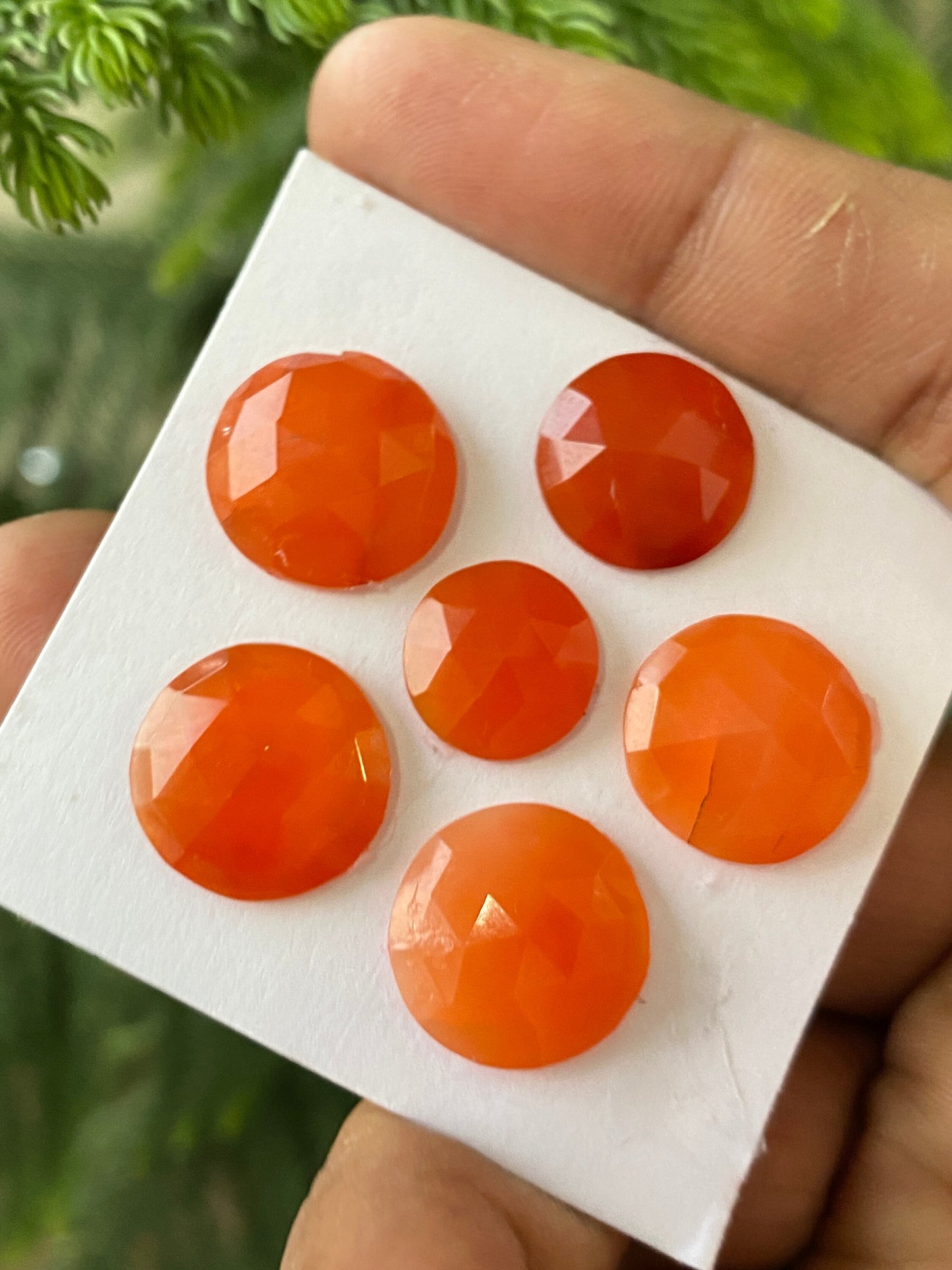 Cute rare Carnelian rosecut round shape wt 43 carats size 12.5-15.6mm pcs 6 aaa quality carnelian rosecut cabochons