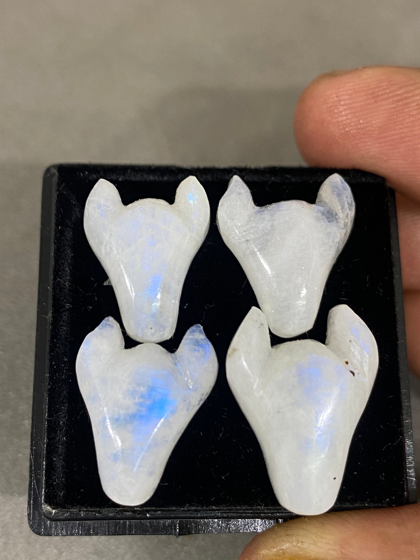 Fascinating rare white moonstone bull head carving  blue fire smooth polished carving pcs 4 wt 41 cts size 16x12-20x14mm moonstone bull head