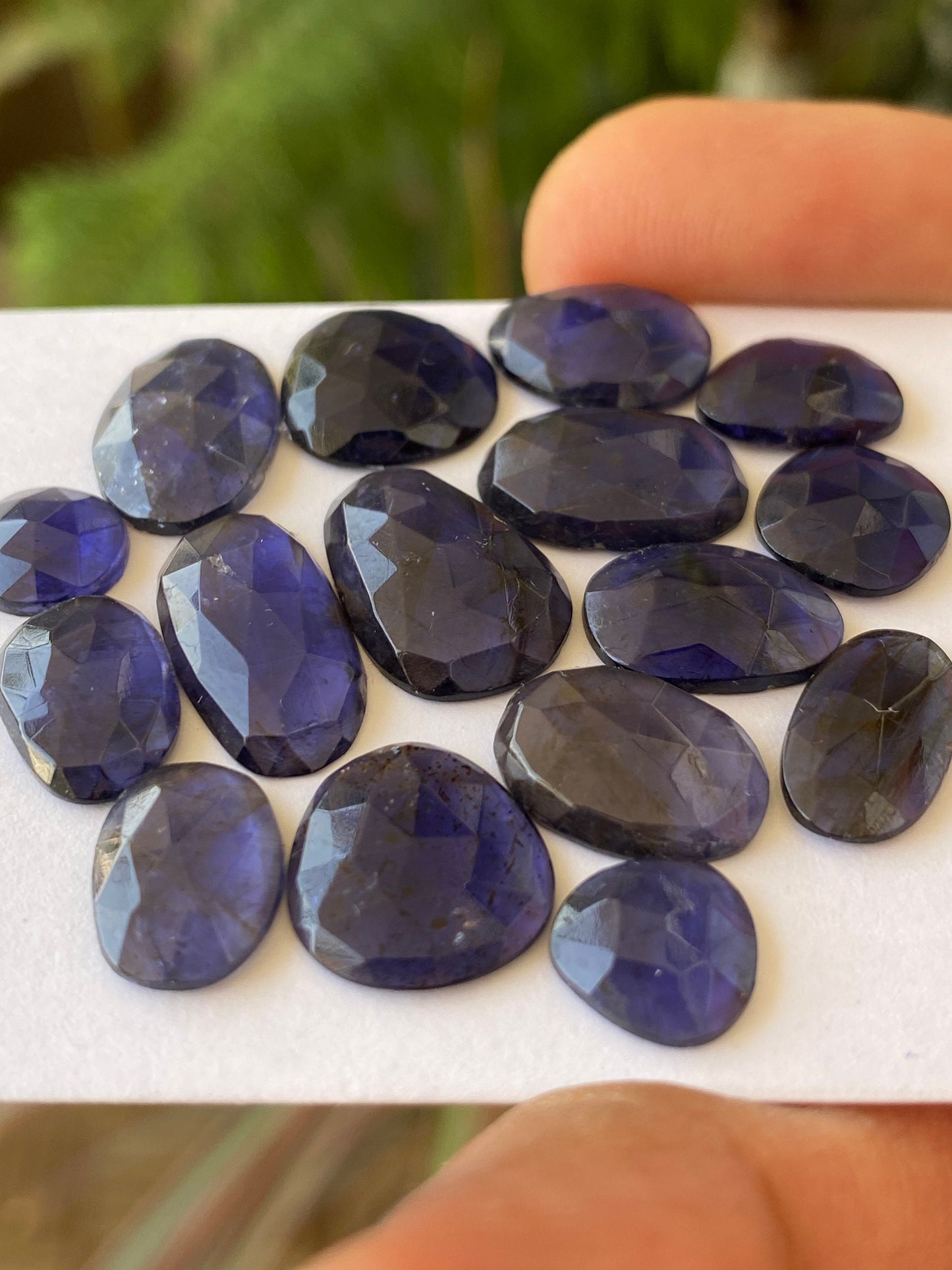 Ravishing Rare iolite rosecut wholesale lot fine quality weight 36 carats size 8mm-16x9mm pcs 16 iolite rosecut