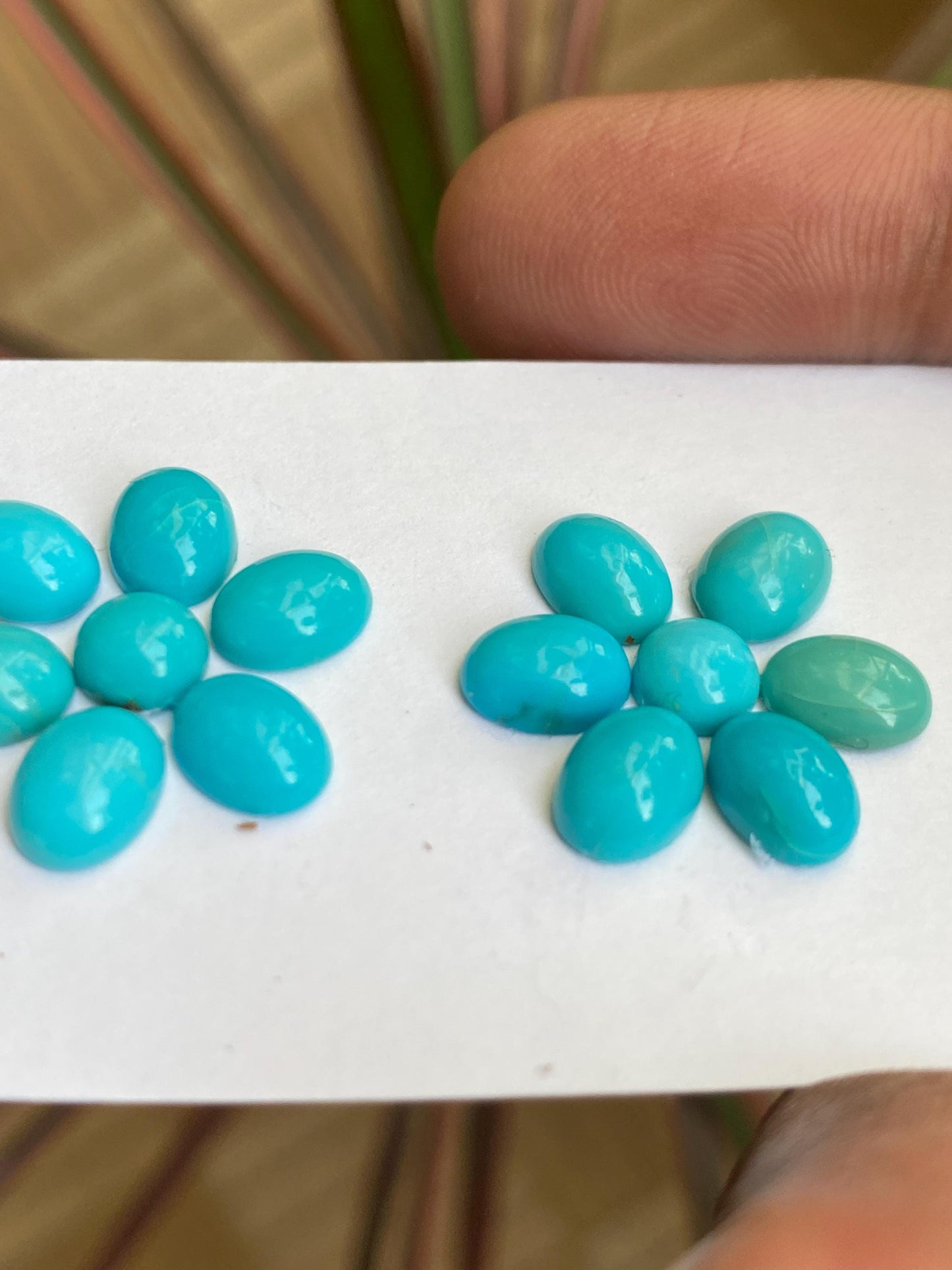 Rare Arizona mines Turquoise oval cabochons earrings supply natural smooth polished pcs 14 wt 14 carats 6.5mm-7x5mm  turquoise cabochons