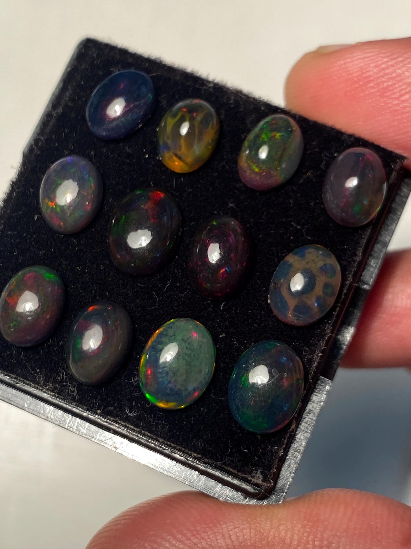 Black opal (smoked) Natural Fire opal cabochons lot size 7.8x6-8.8x7mm wt 11.35 cts pcs 12 opal cabochon aaa quality fire black opals cabs