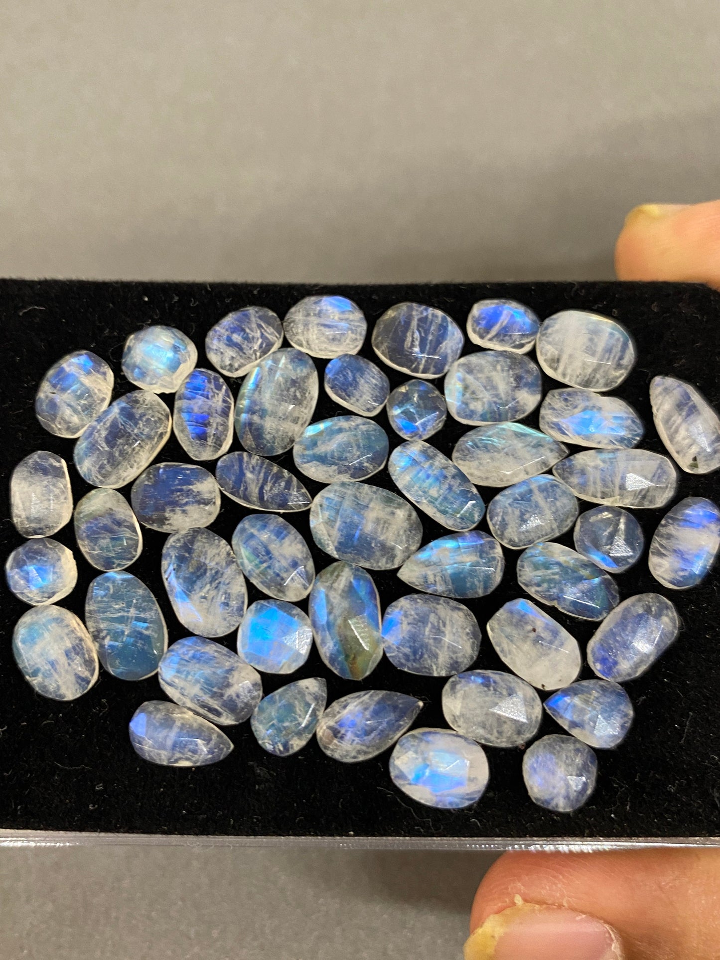 Vivacious Blue fire rainbow moonstone unusual faceted rosecut pcs 49 wt 67 cts  size 6x5.5mm-10x8mm beautiful fire rainbow moonstone facted