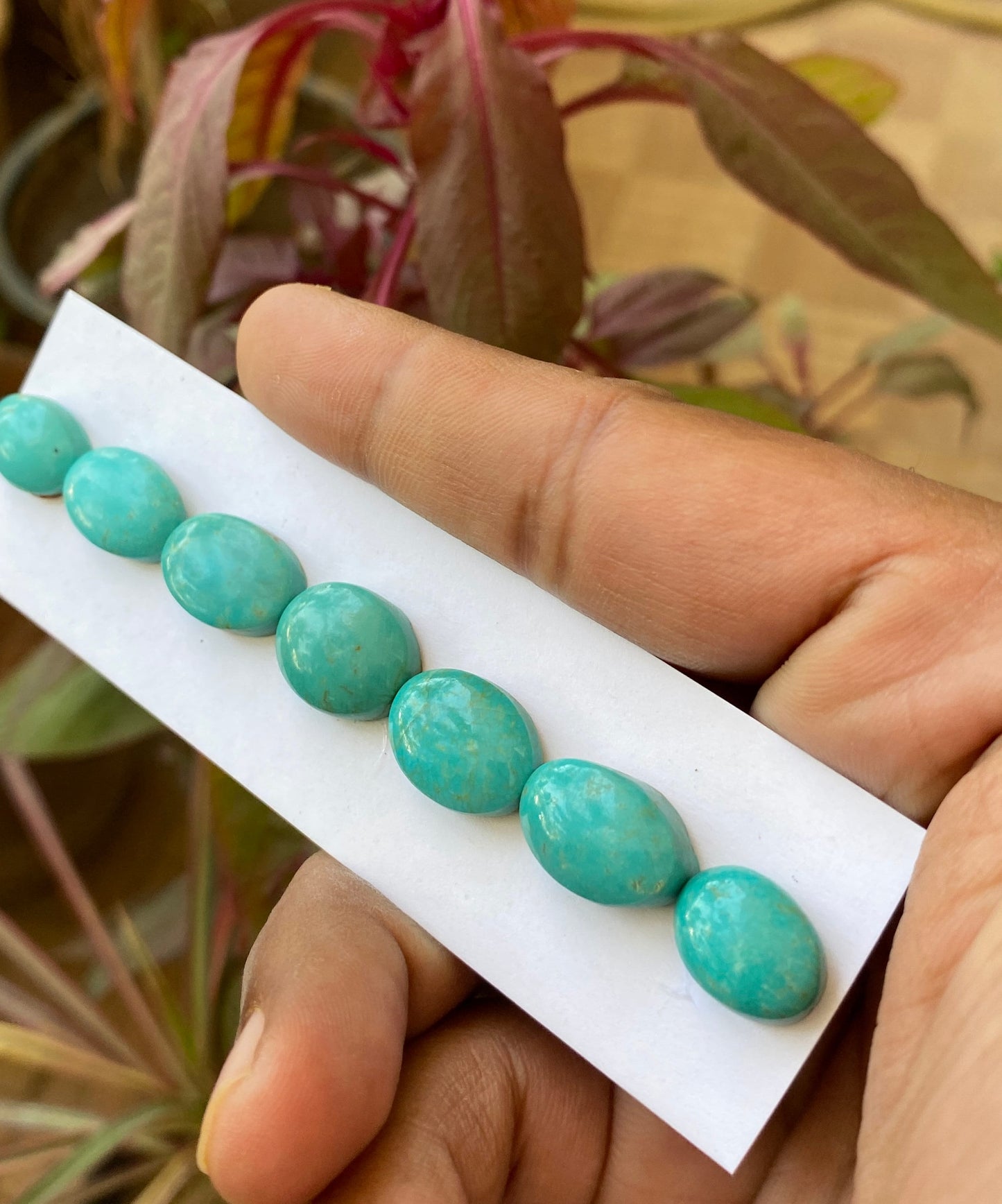 Attractive rare Turquoise cabochons bracelet natural Arizona mines smooth  ovals pcs 7 wt 53 carats 13x10-16.5x11mm turquoise cabochon