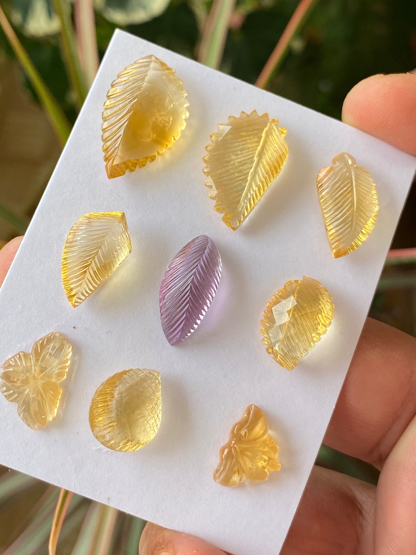 Vivacious Natural citrine amethyst hand carved wholesale lot wt 65.5 cts pcs 9 size 14x10mm-23.5x14mm citrine carving gemstone carving