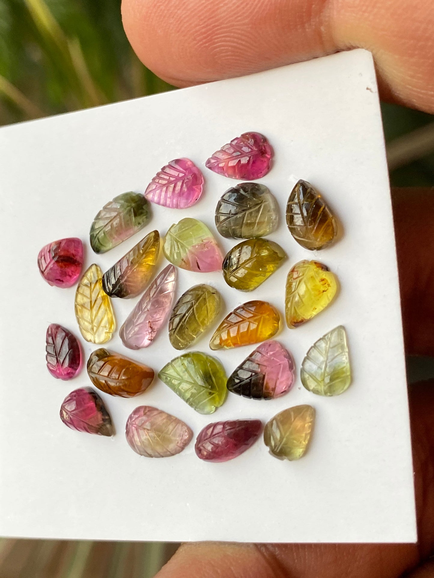 Vivacious Bicolor Watermelon tourmaline leaves carving  multi tourmaline carvings wt 19 carats pcs 23 size 6x4mm-12x4mm tourmaline leaves