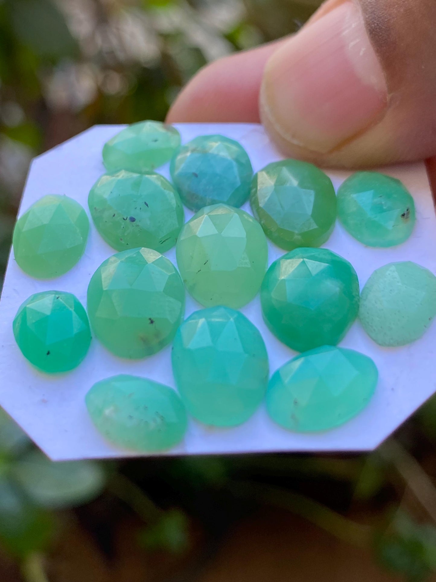 Dazzling Chrysoprase rosecut fancy wholesale lot fine quality wt 24.80 carats pcs 15 size 9x6.5mm-12.5x8.2mm chrysoprase rosecut