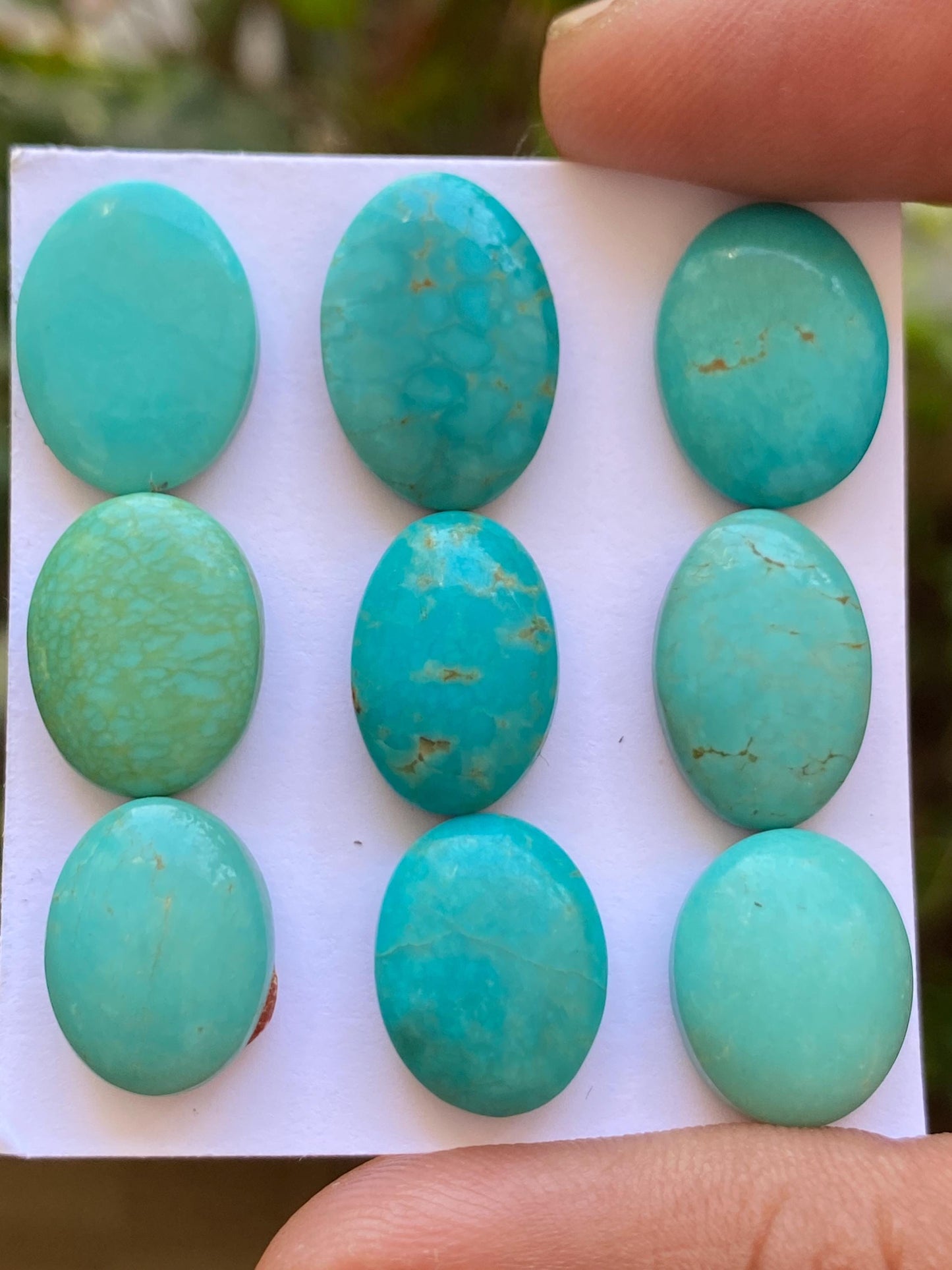 Vivacious rare Arizona  mines Turquoise cabochons  natural smooth polished ovals pcs 9 wt 65.20 carats 14x11-17x12mm turquoise cabochons