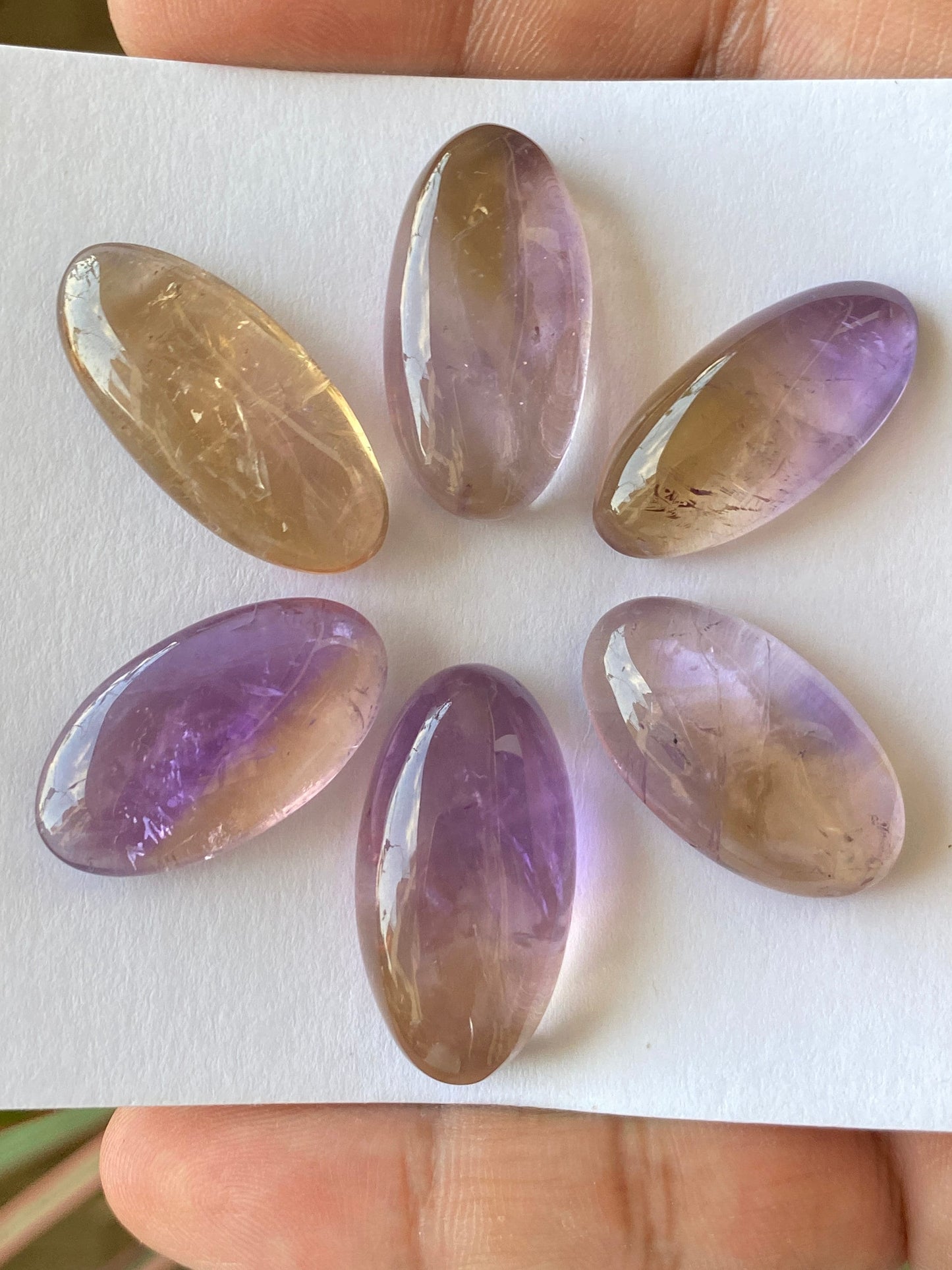 Dazzling Ametrine rare huge oval cabochon wire wrap supply Ametrine cabochon pcs 6 wt 176 carats size 28x13.5-30x16mm pendant supply