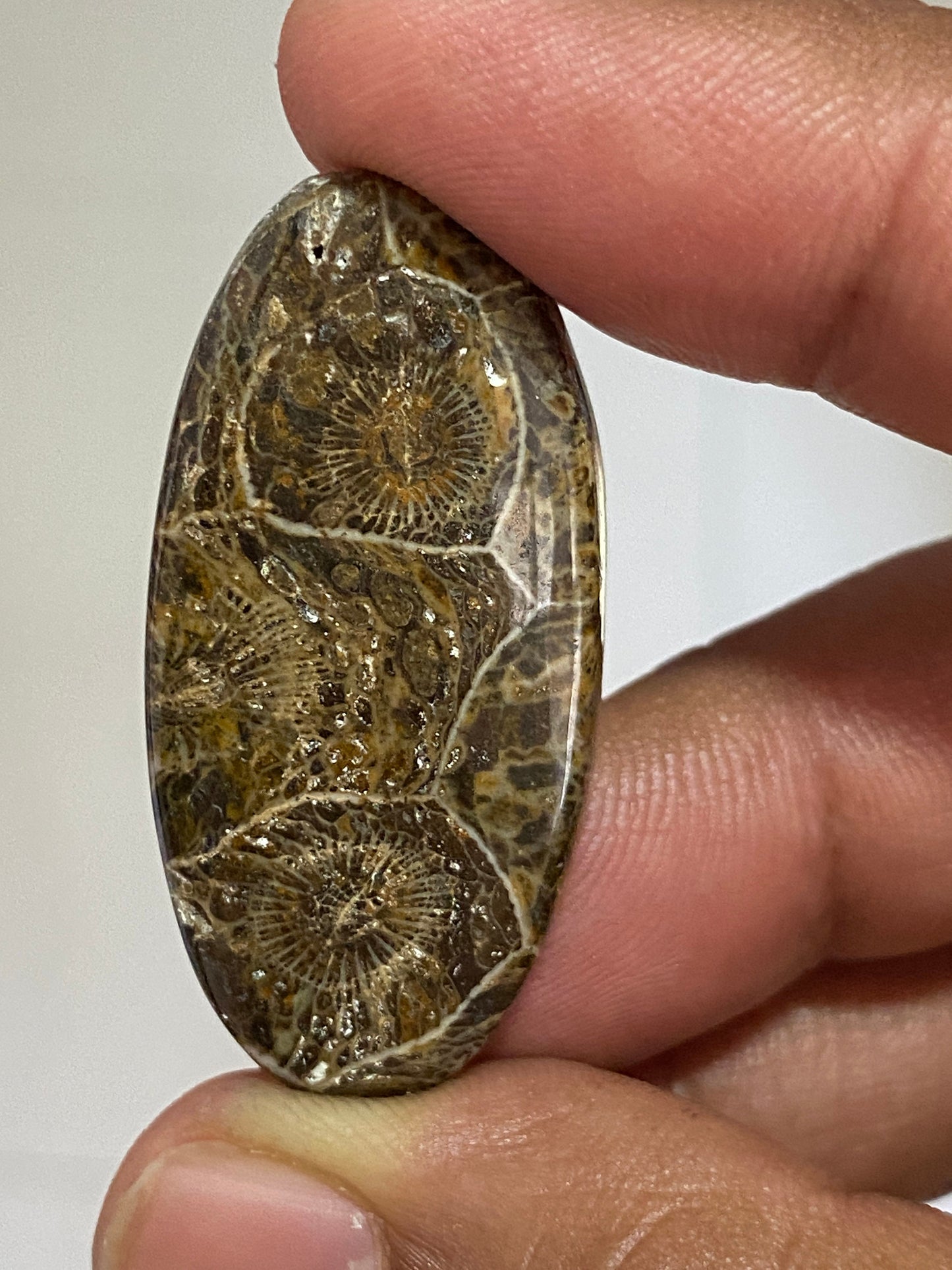 Stunning Morrocon jasper wire wrap supply morroco jasper cabochon oval pear cabochon pendant supply