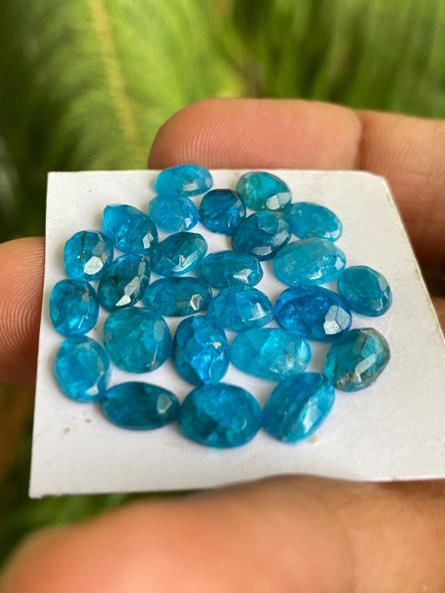 Fabulous Blue green apatite rosecut lot weight 25.5 carats pcs 25 rosecut blue apatite flats Small size 6.9x5.5mm-8x6mm apatite rosecut